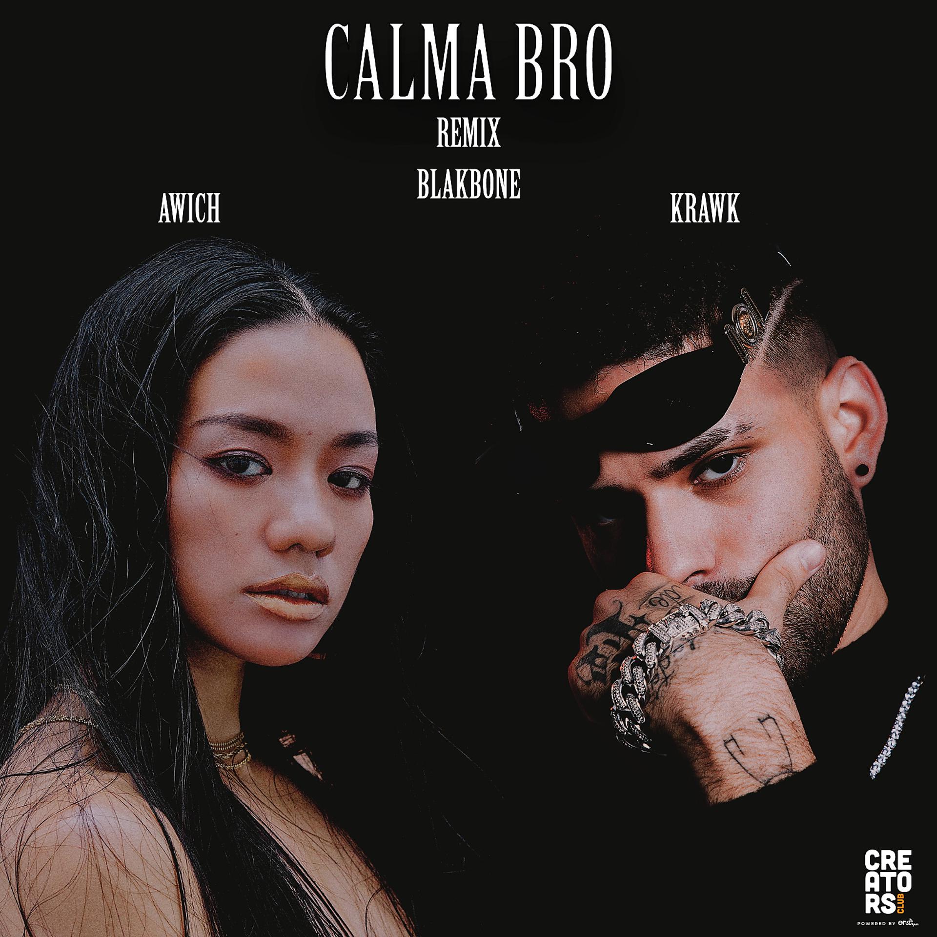 Постер альбома Calma Bro (Remix)