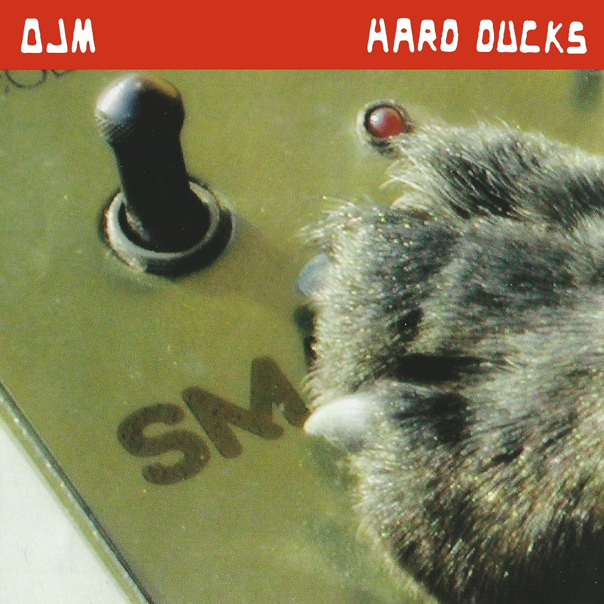 Постер альбома Hard Ducks
