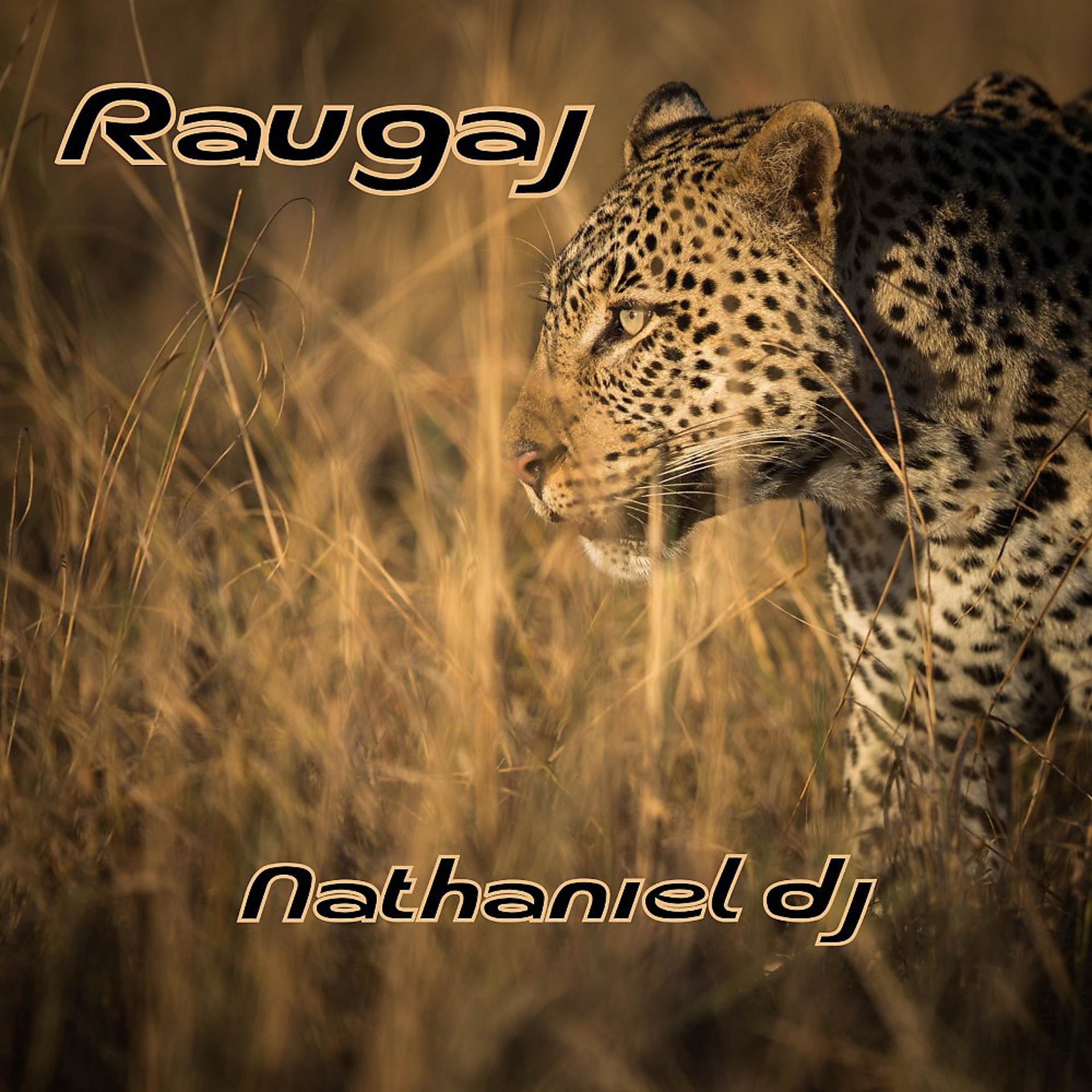 Постер альбома Raugaj
