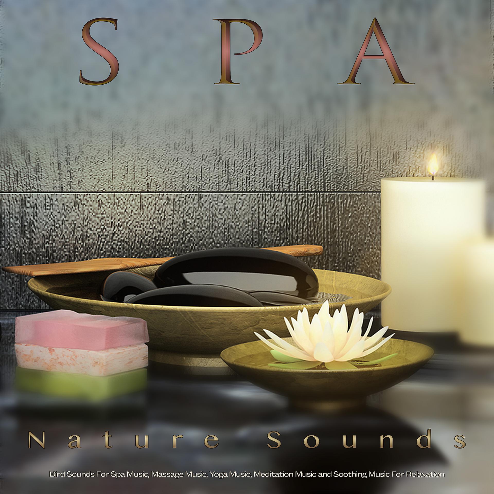 Постер альбома Spa: Piano and Nature Sounds and Bird Sounds For Spa Music, Massage Music, Yoga Music, Meditation Music and Soothing Music For Relaxation