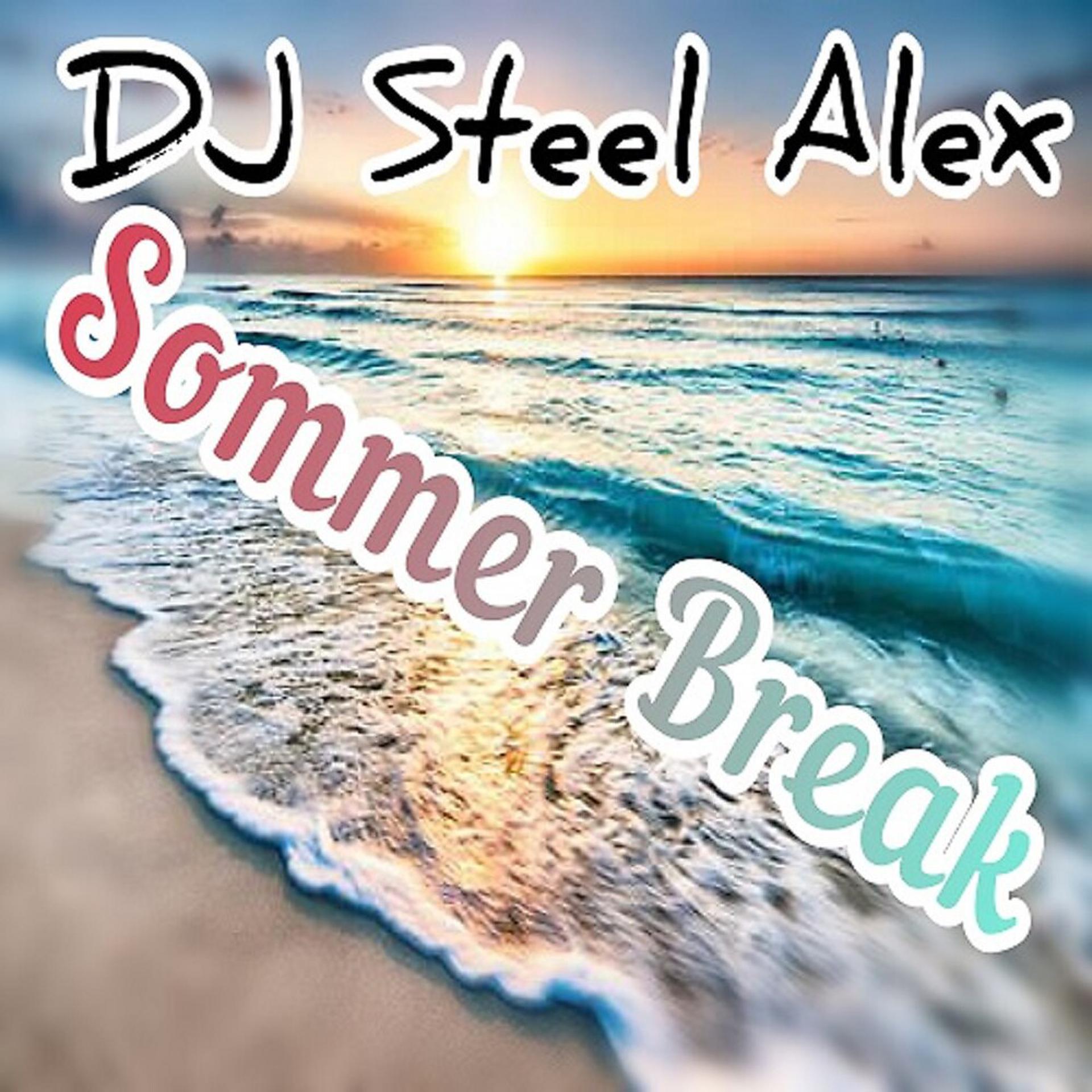 Постер альбома Sommer Break