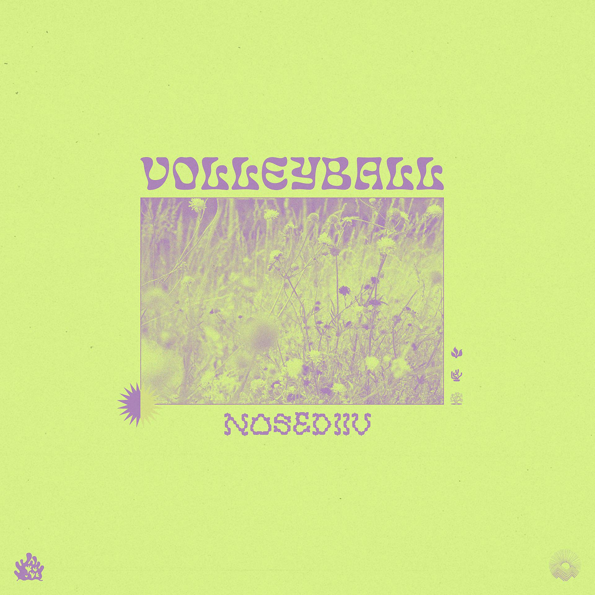 Постер альбома Nosediiv