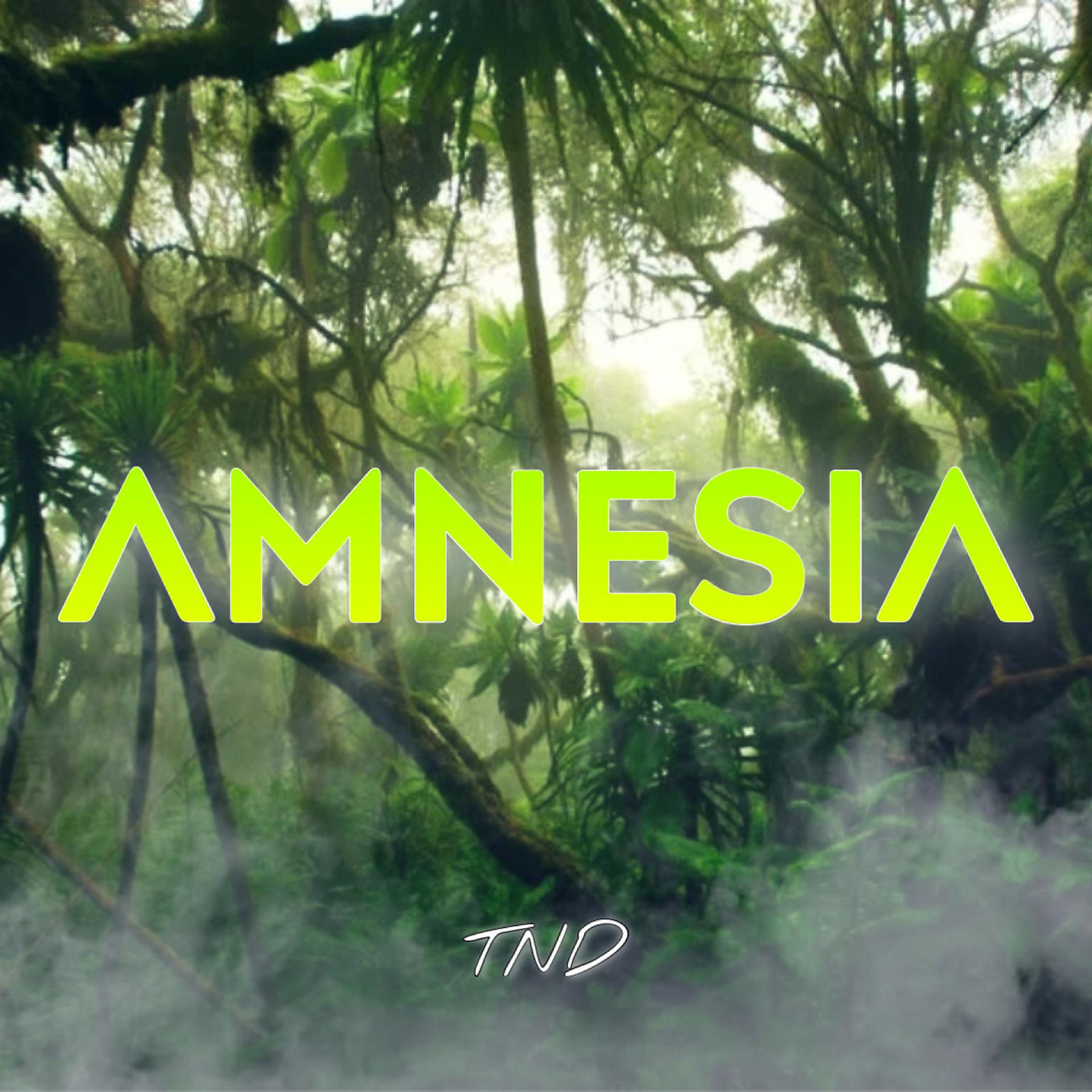 Постер альбома Amnésia