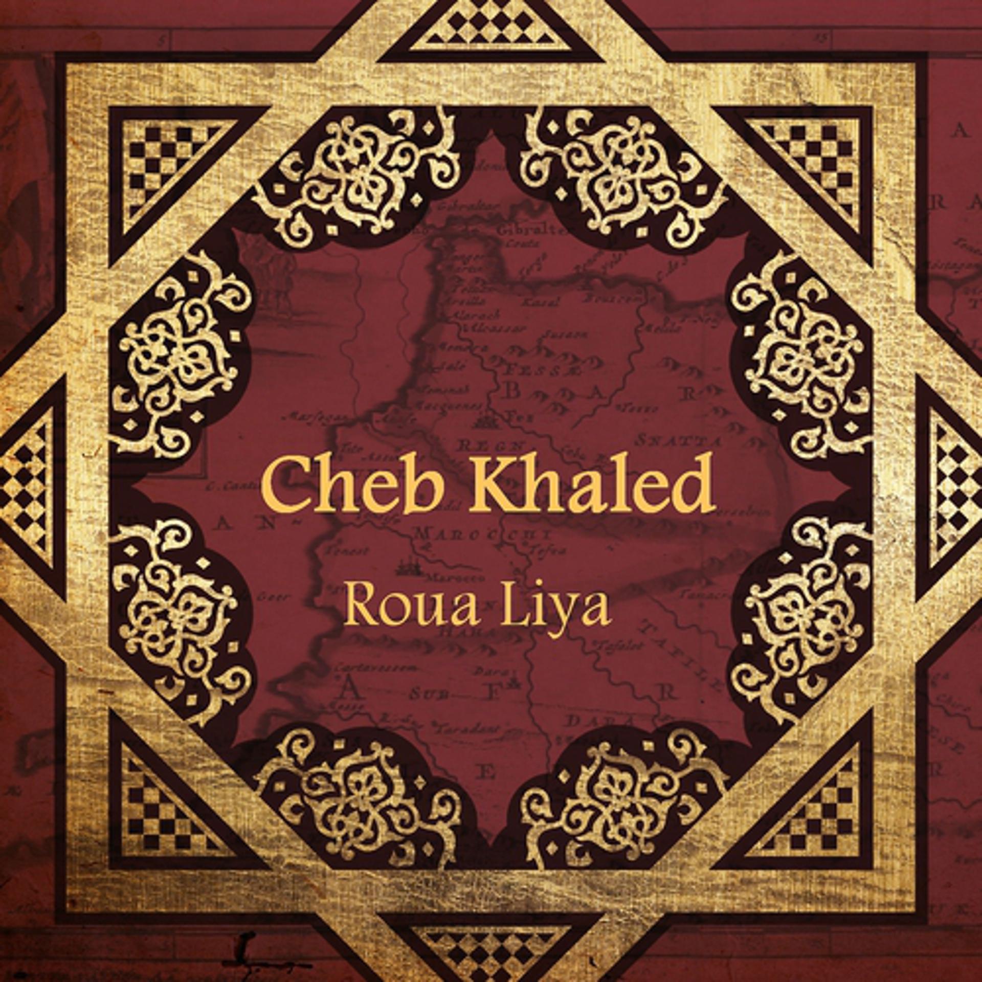 Постер альбома Roua Liya