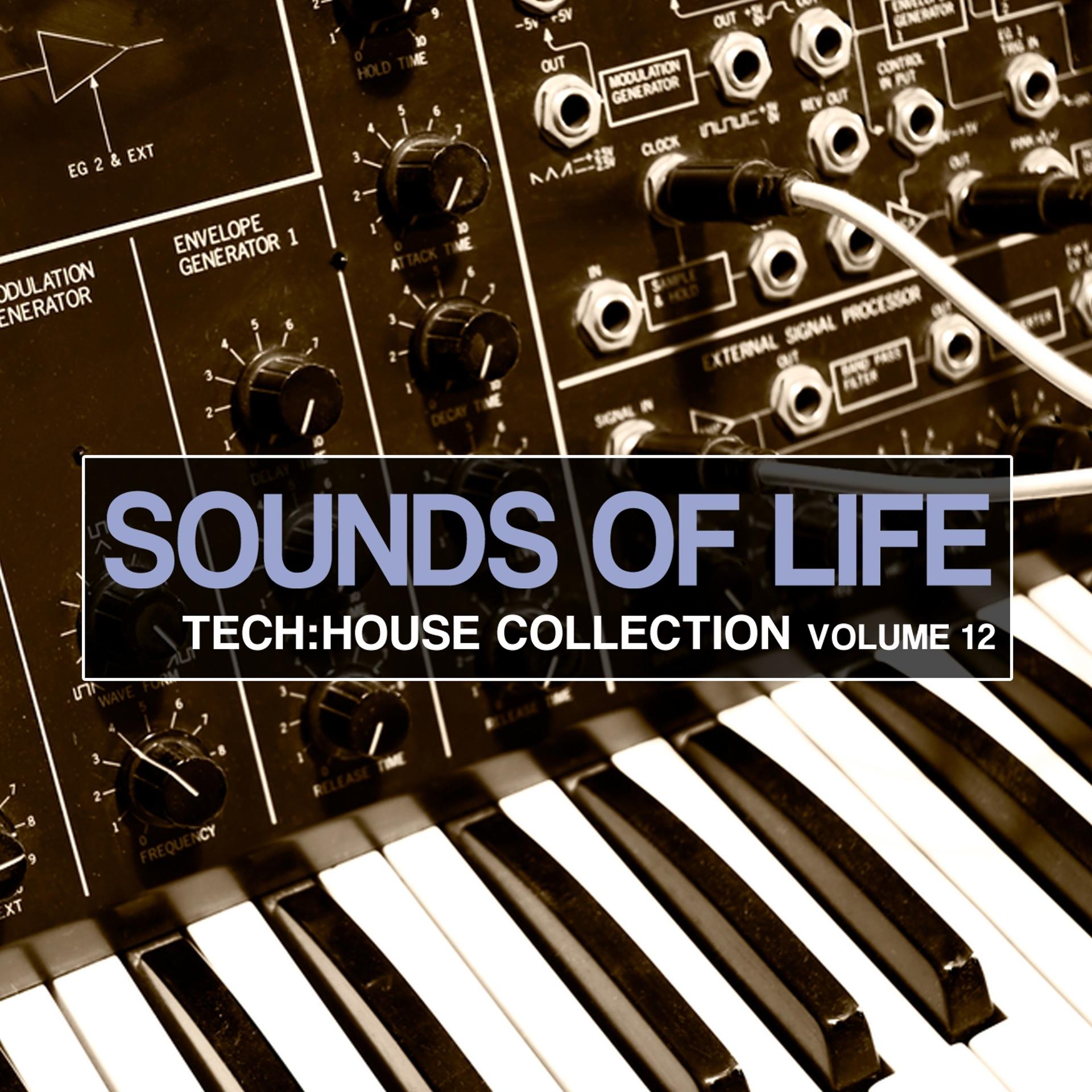 Постер альбома Sounds of Life - Tech House Collection, Vol. 12