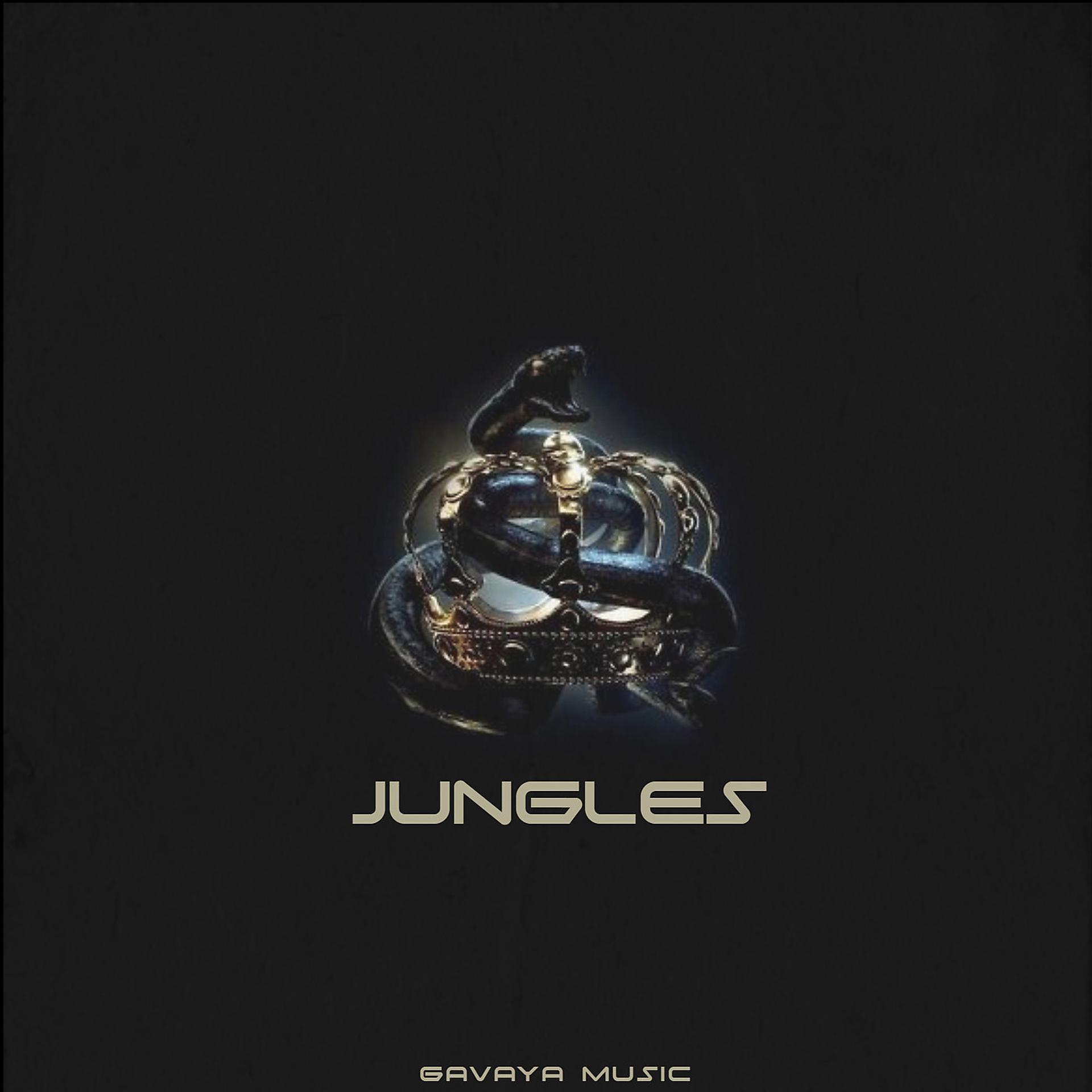 Постер альбома Jungles