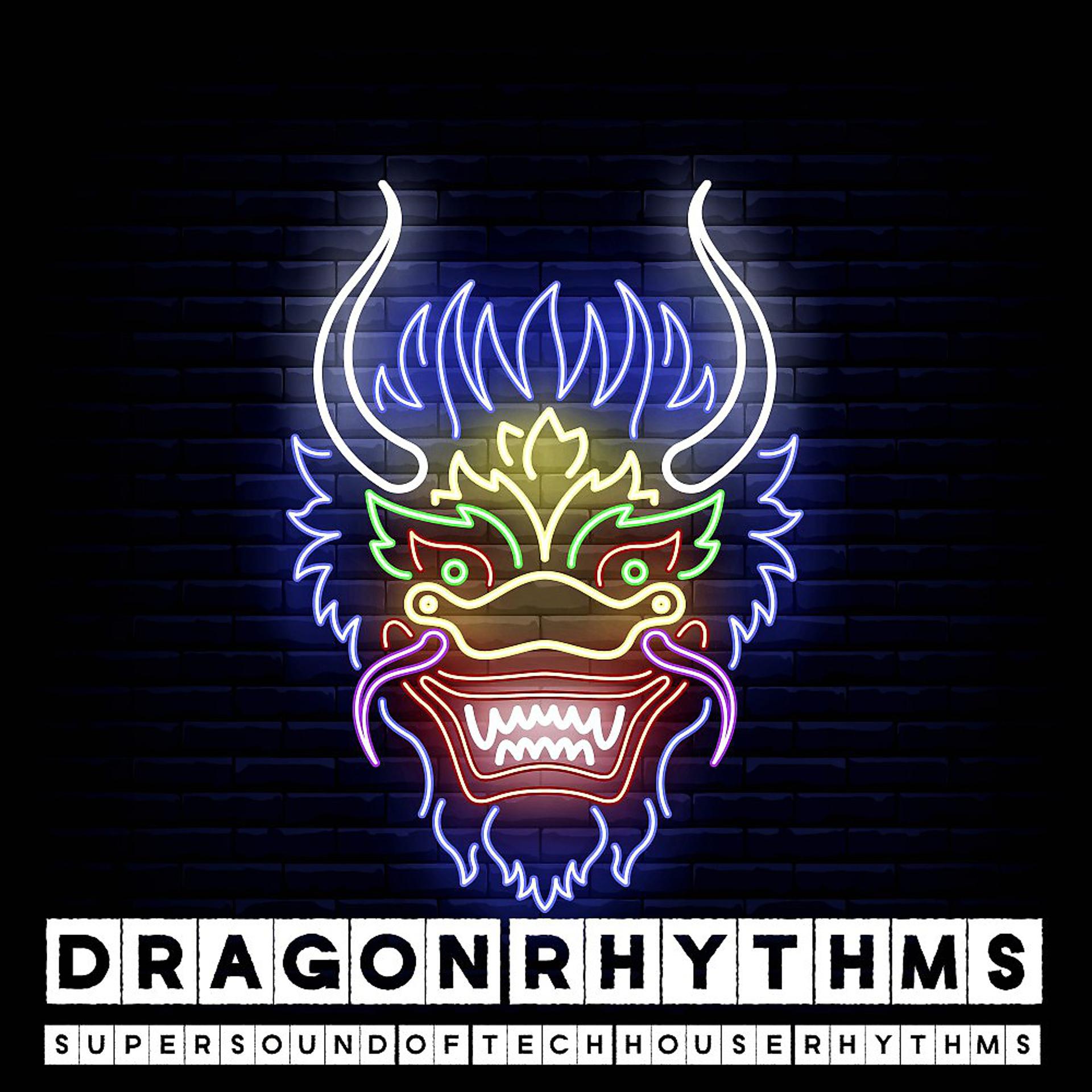 Постер альбома Dragon Rhythms (Supersound of Tech House Rhythms)