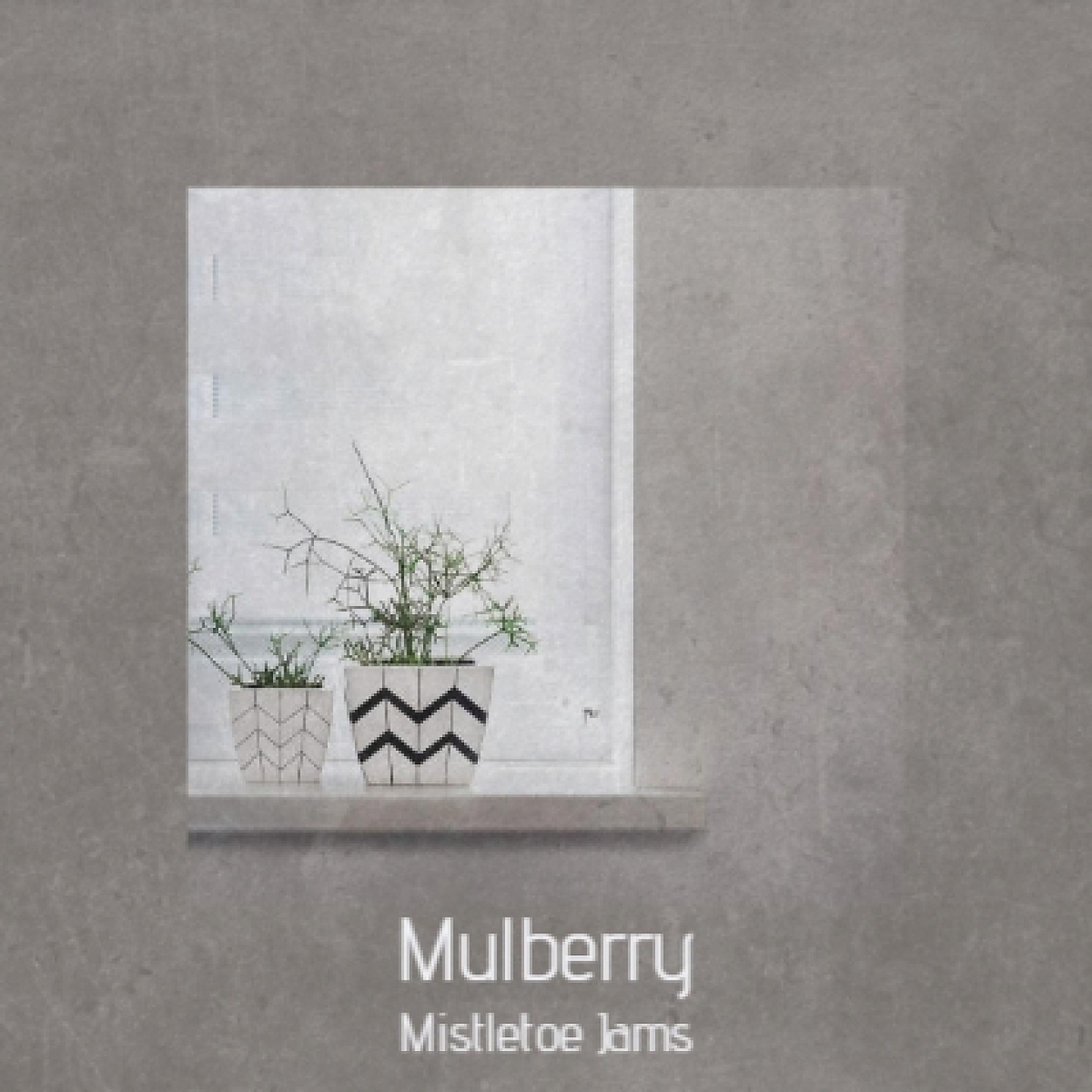 Постер альбома Mulberry Mistletoe Jams