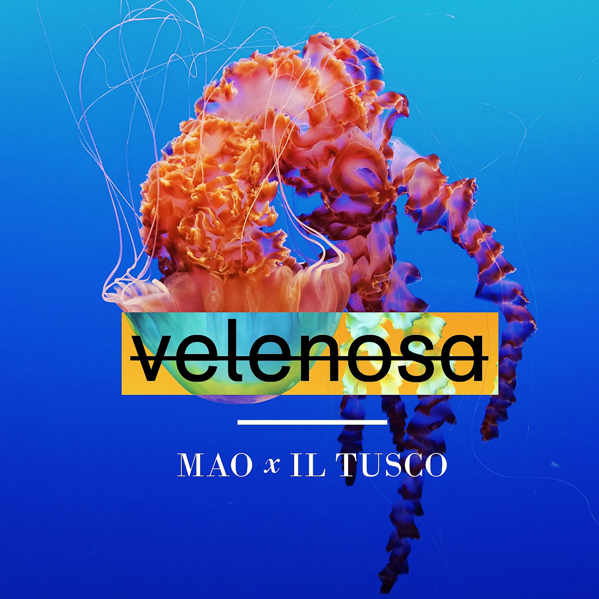 Постер альбома Velenosa