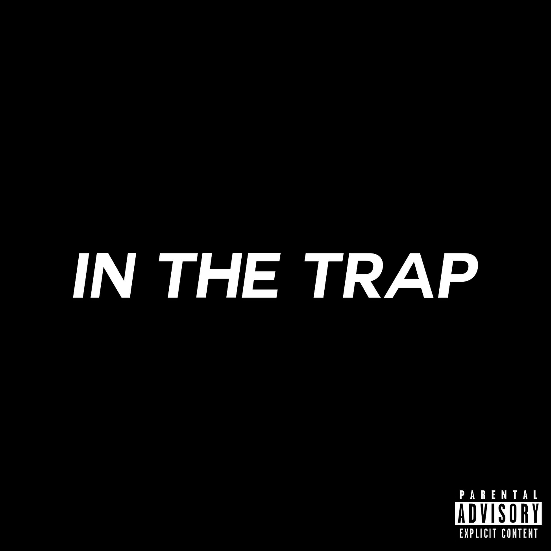 Постер альбома In the Trap 2