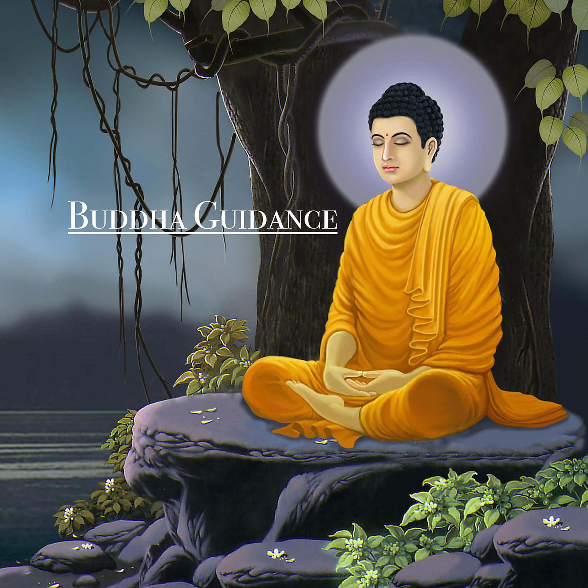Постер альбома Buddha Guidance