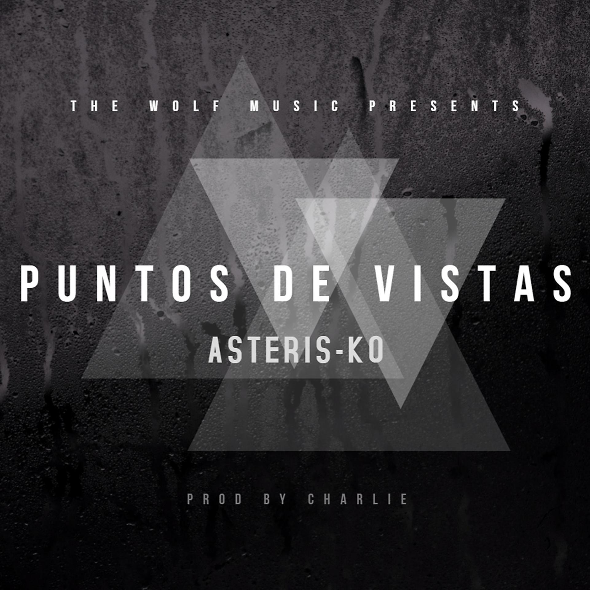 Постер альбома Puntos de Vistas