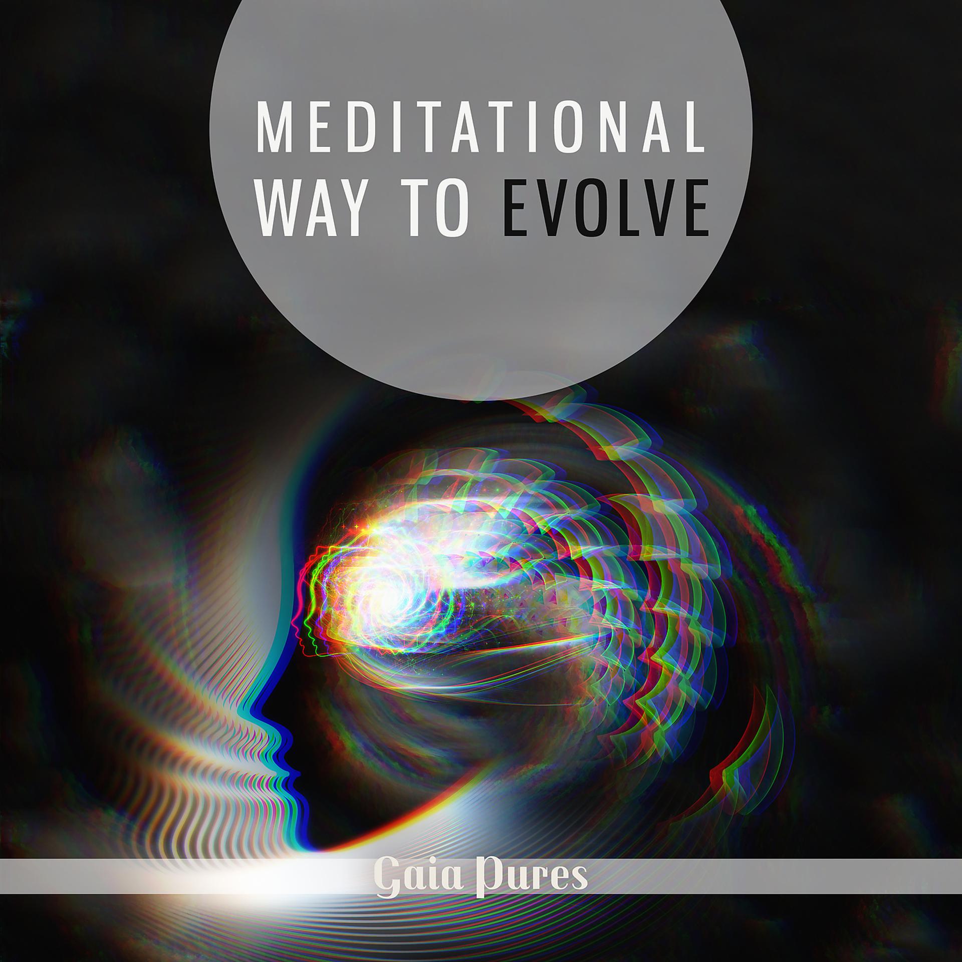 Постер альбома Meditational Way to Evolve