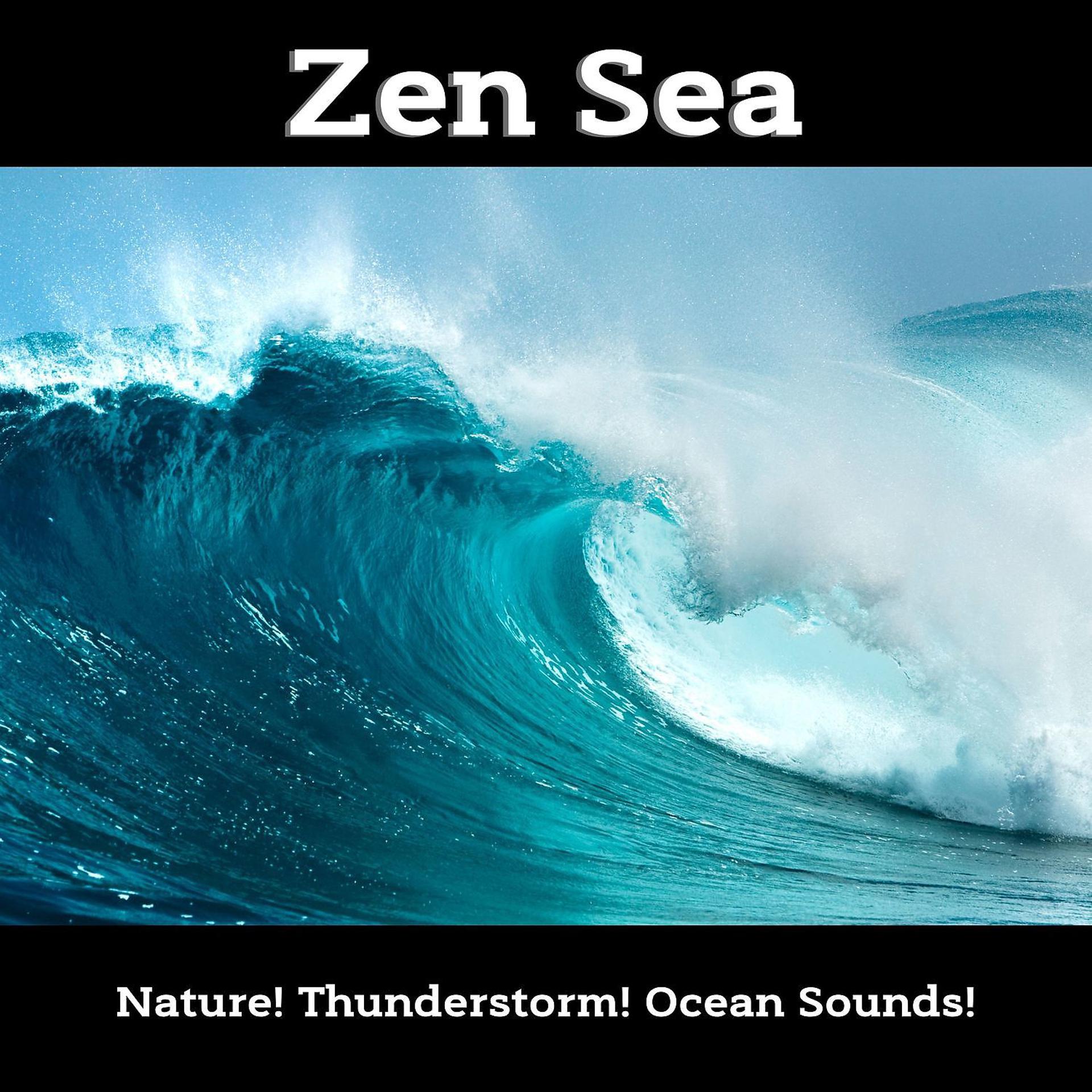 Постер альбома Zen Sea