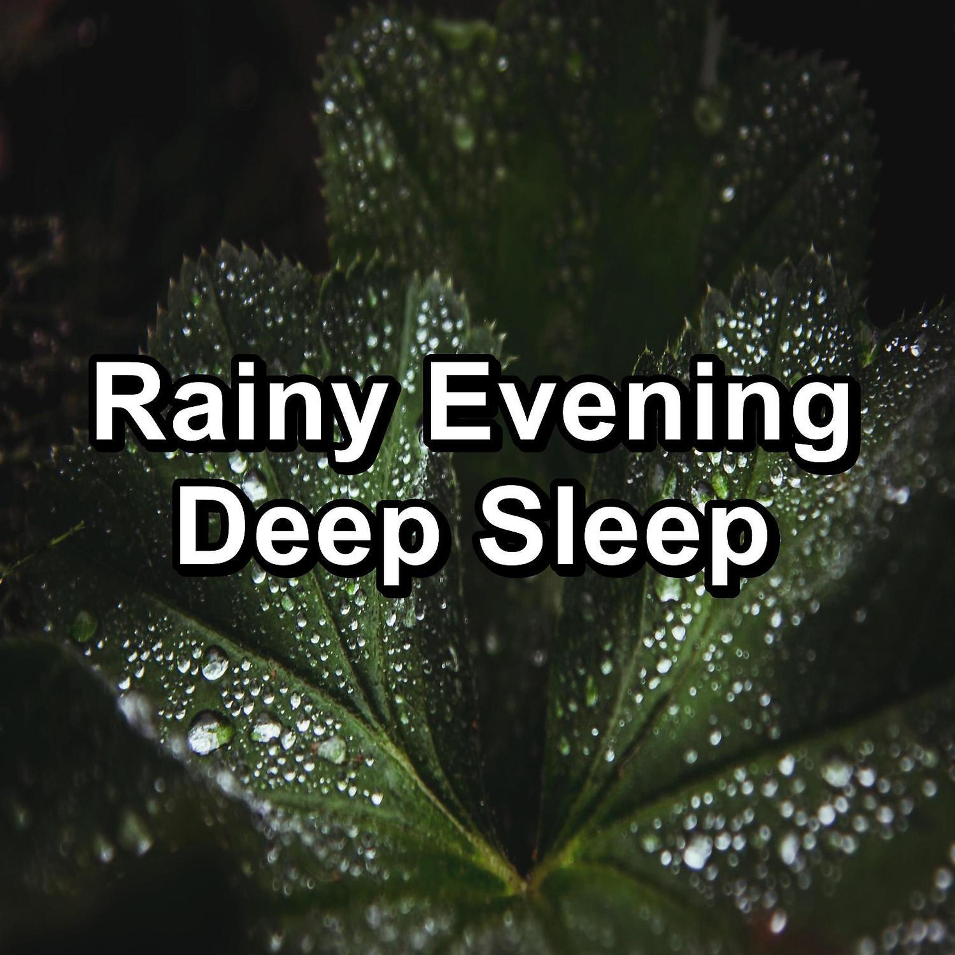 Постер альбома Rainy Evening Deep Sleep