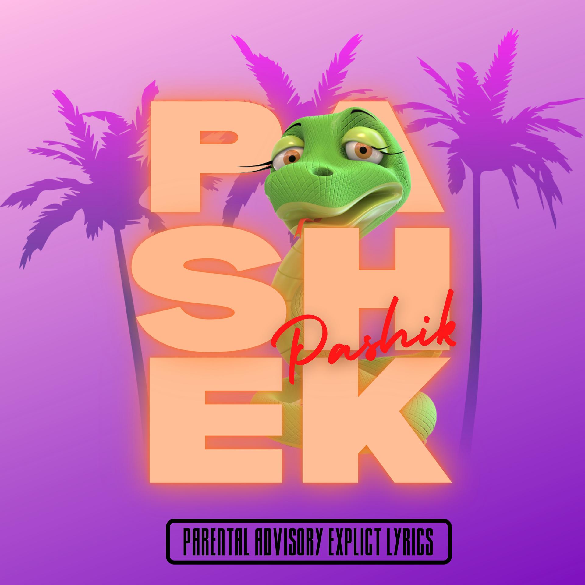 Постер альбома Pashek