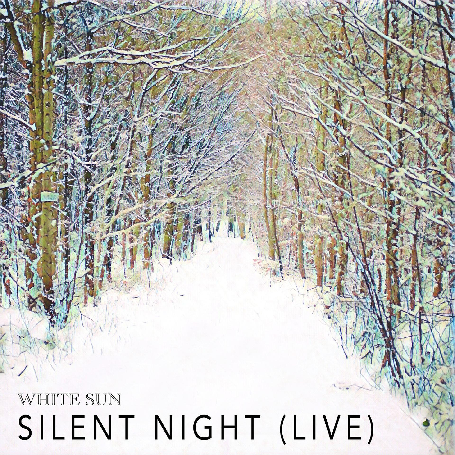 Постер альбома Silent Night (Live)