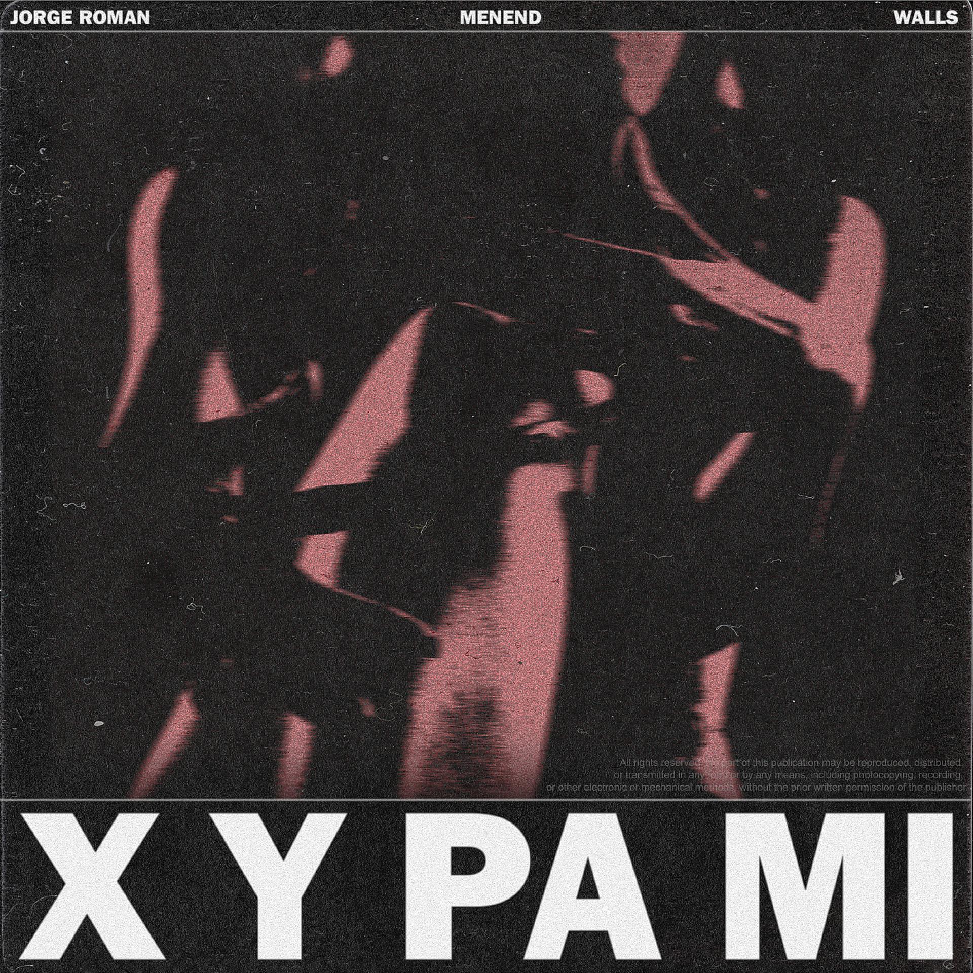 Постер альбома x y pa mi