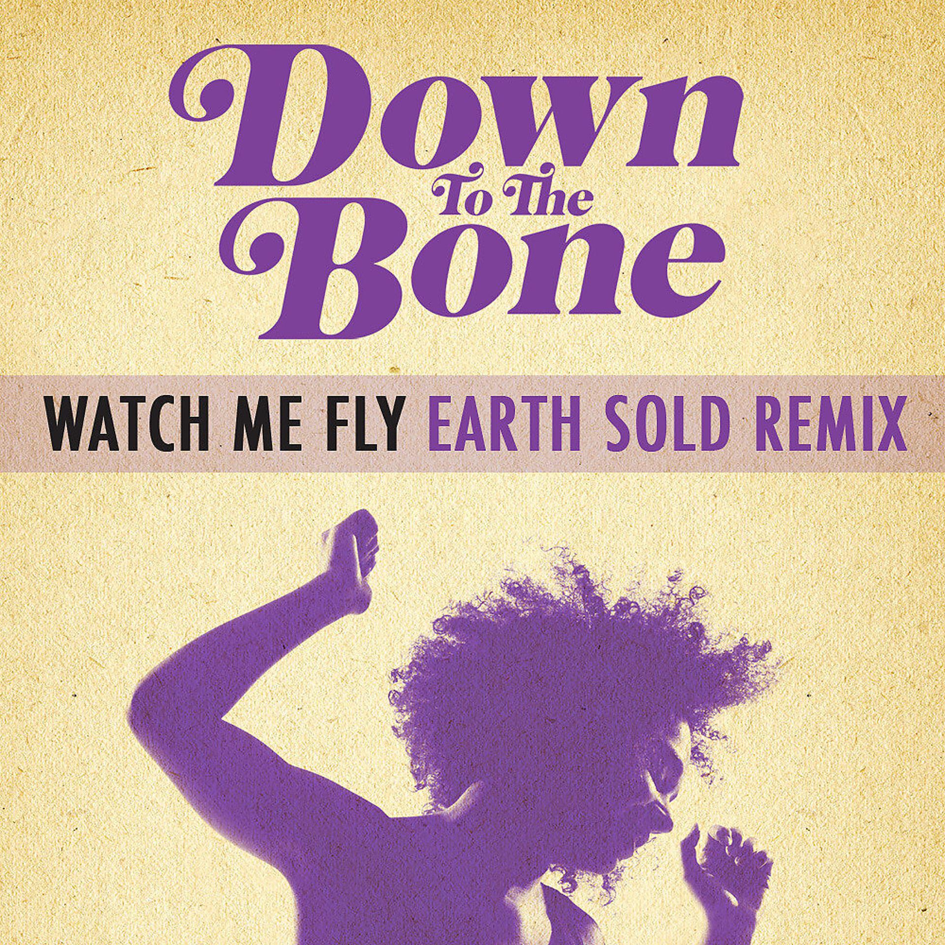 Постер альбома Watch Me Fly (Earth Sold Remix) (feat Imaani) - Single