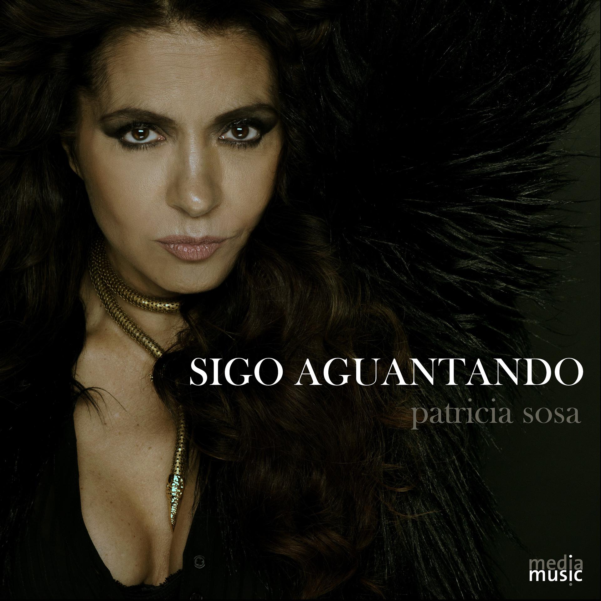 Постер альбома Sigo Aguantando