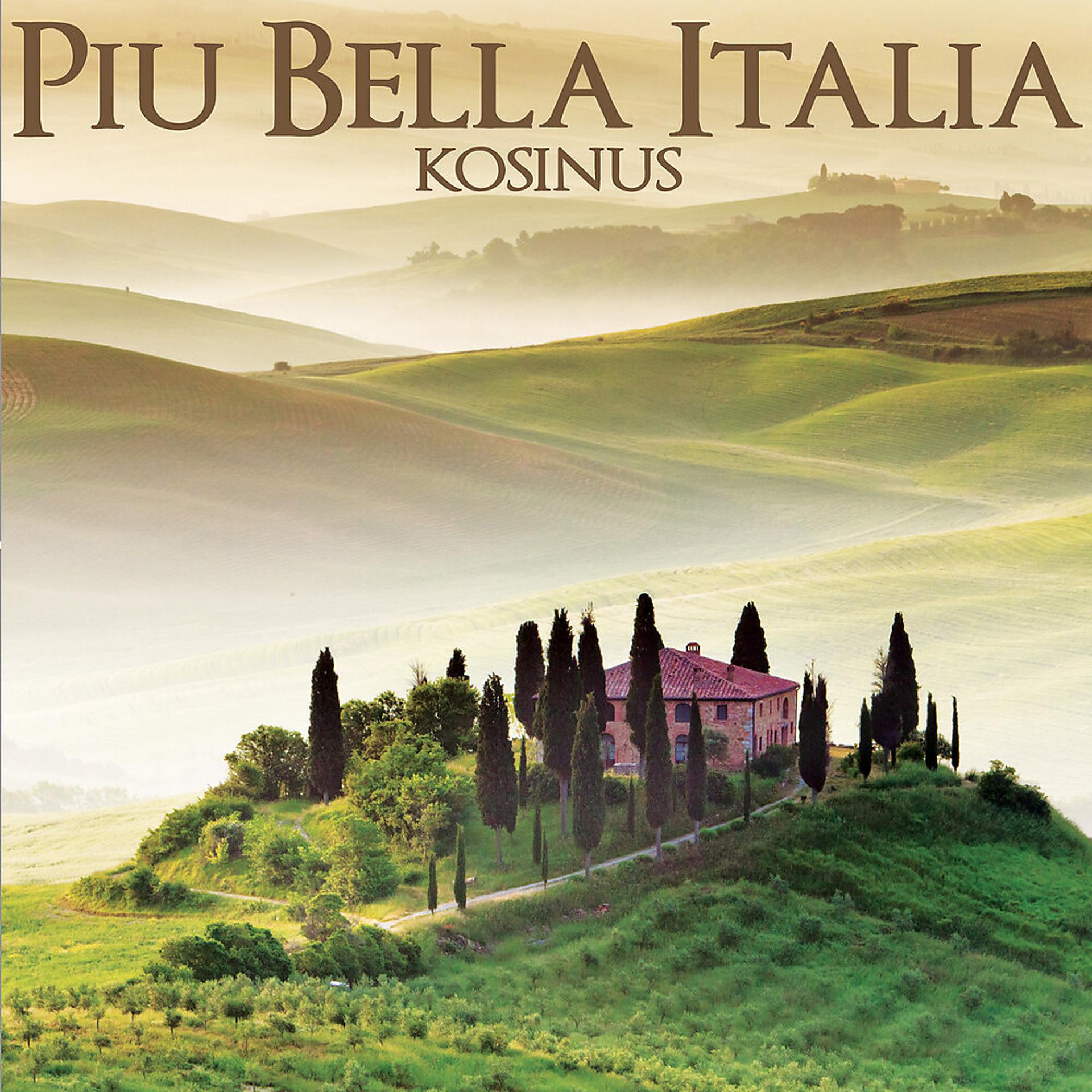 Постер альбома Piu Bella Italia