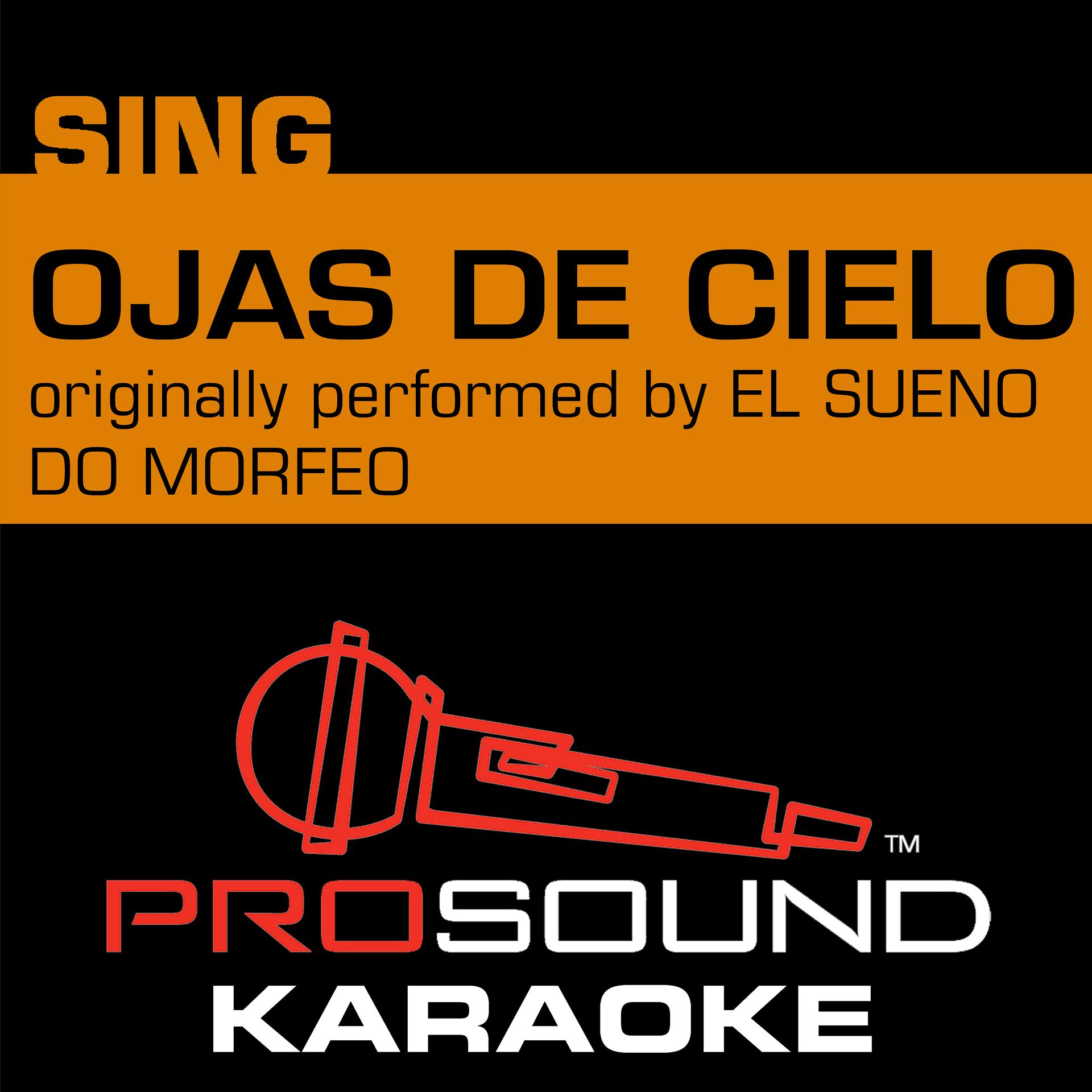 Постер альбома Ojos De Cielo (Originally Performed by El Sueño De Morfeo) [Instrumental Version]