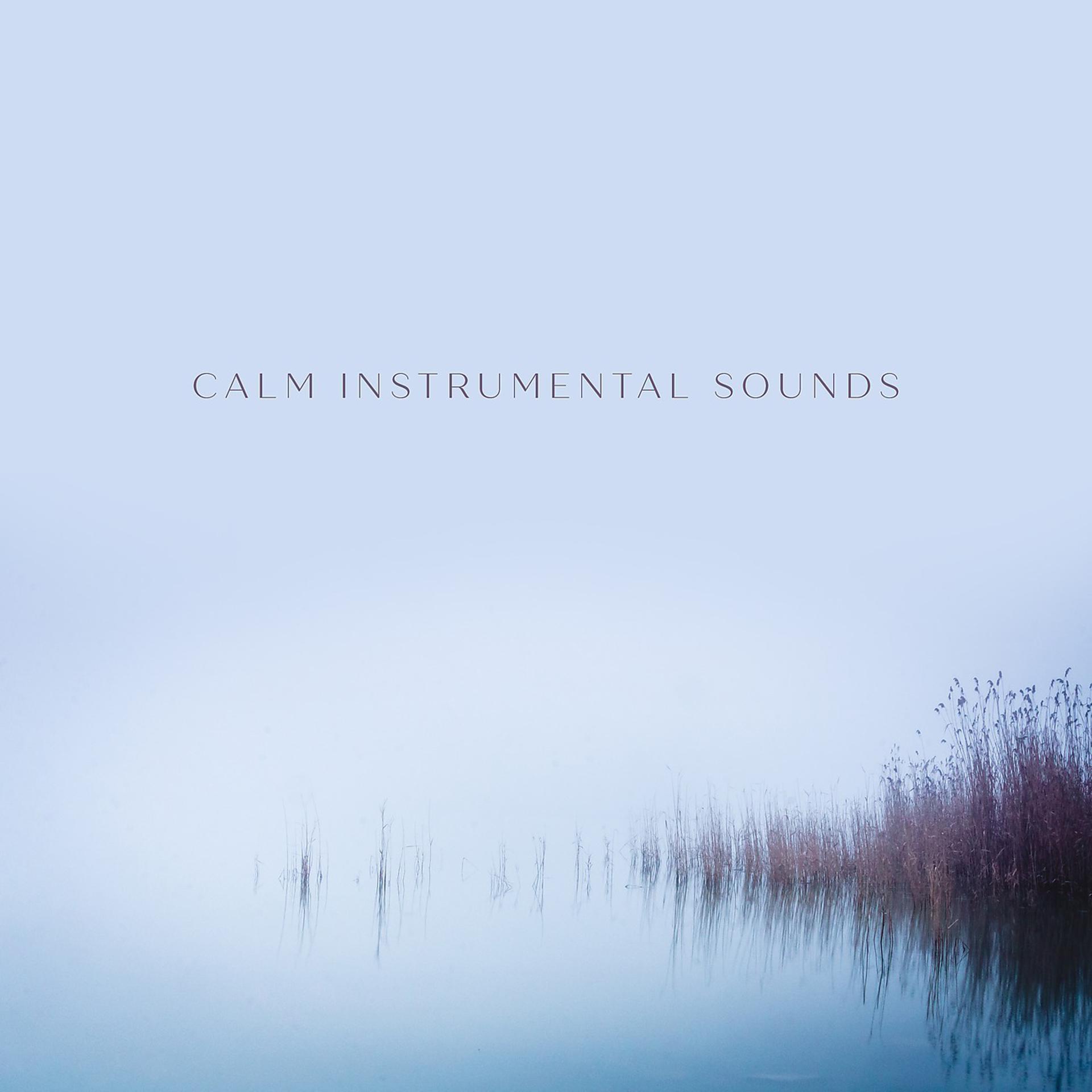 Постер альбома Calm Instrumental Sounds