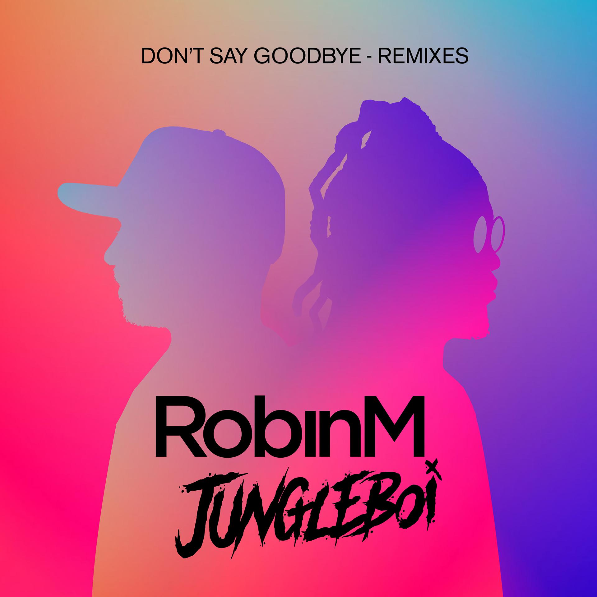 Постер альбома Don't Say Goodbye (Remixes)