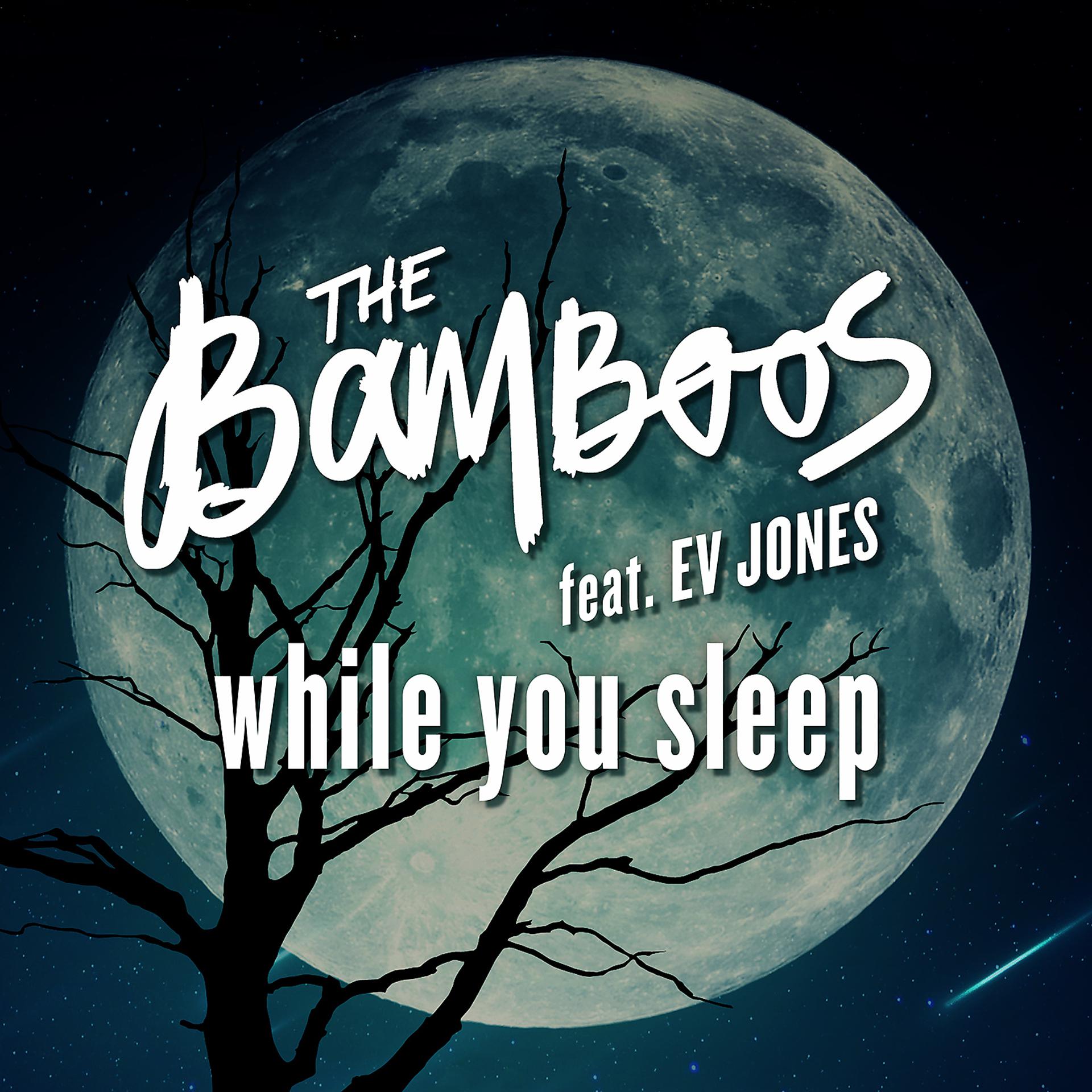 Постер альбома While You Sleep (feat. Ev Jones)
