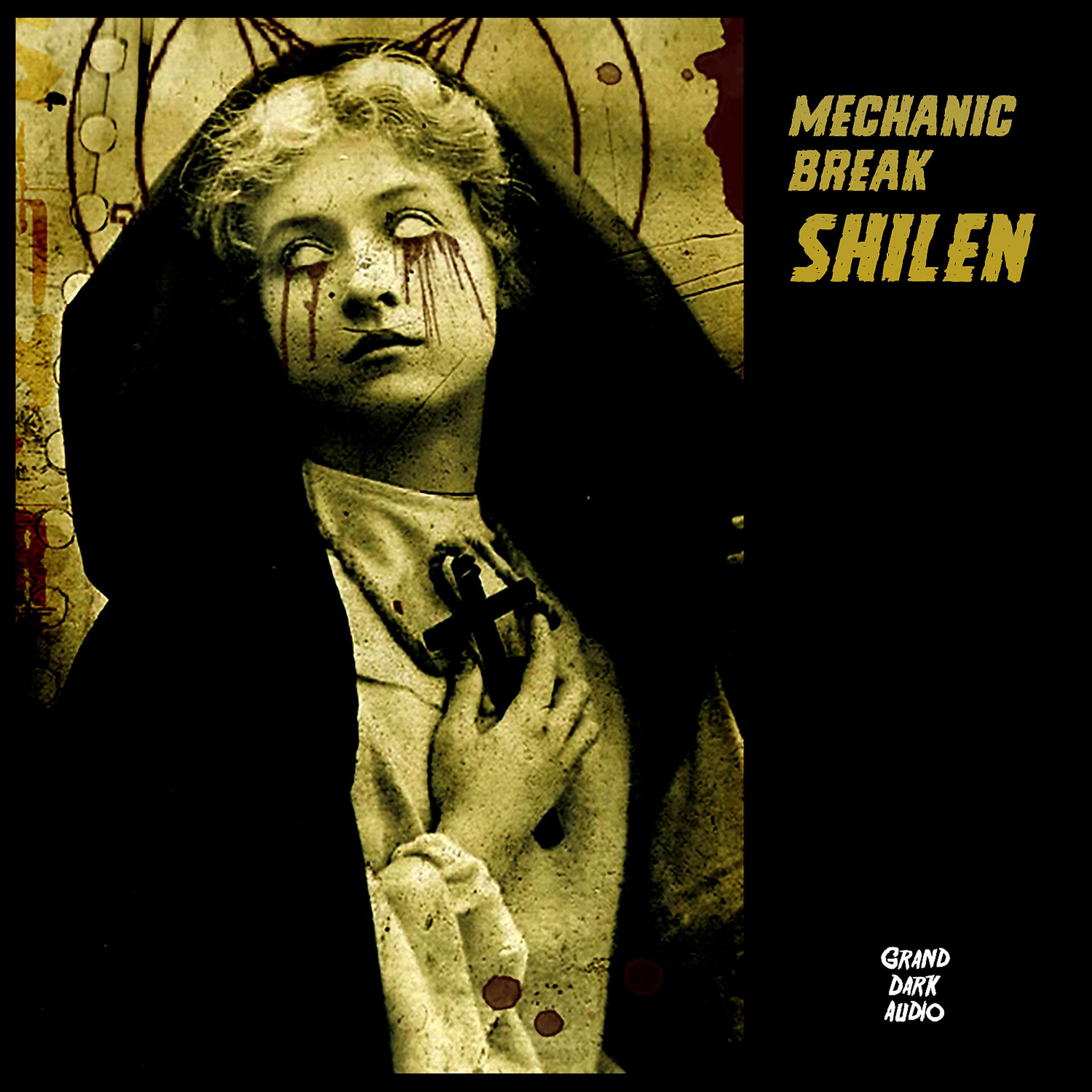 Постер альбома Shilen