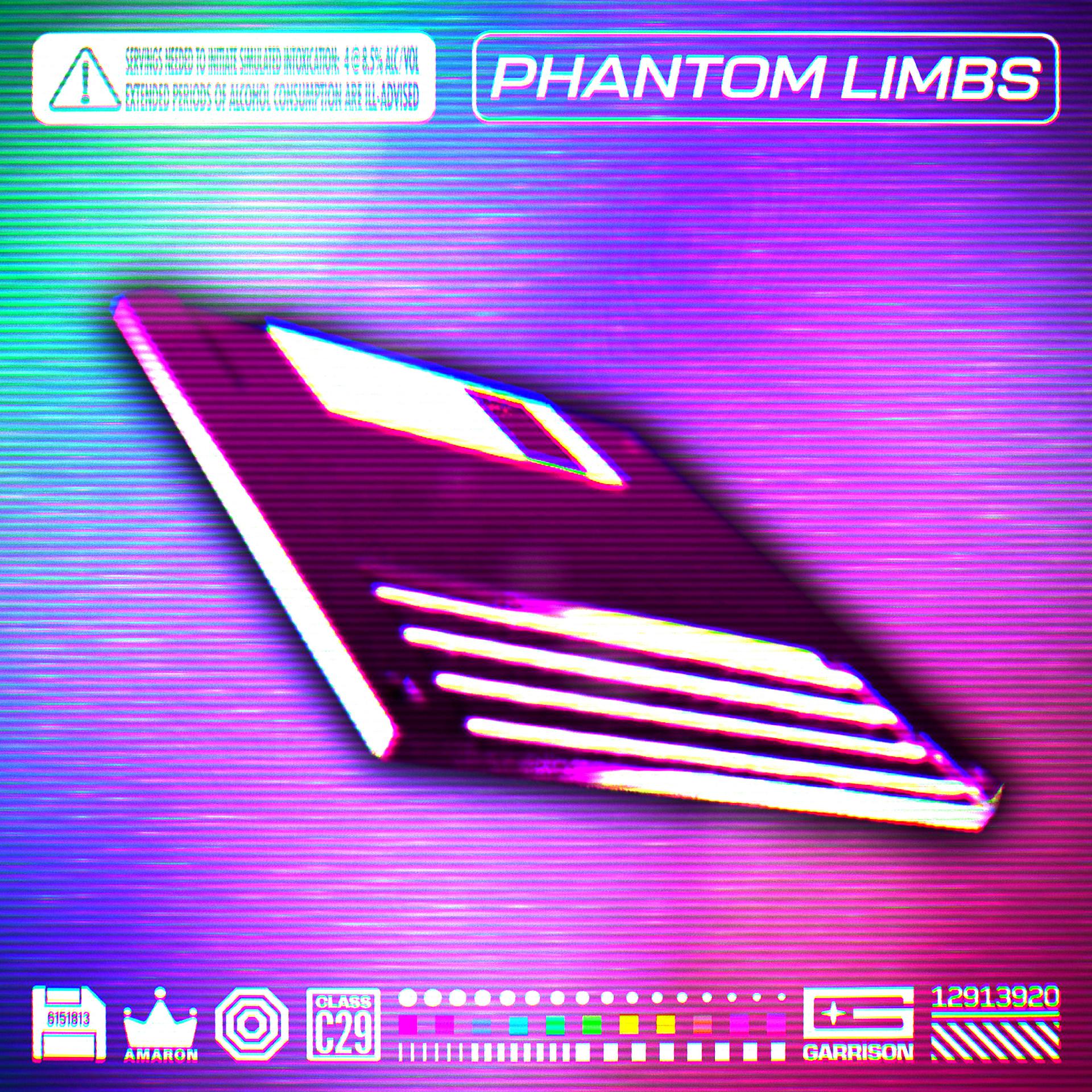 Постер альбома Phantom Limbs