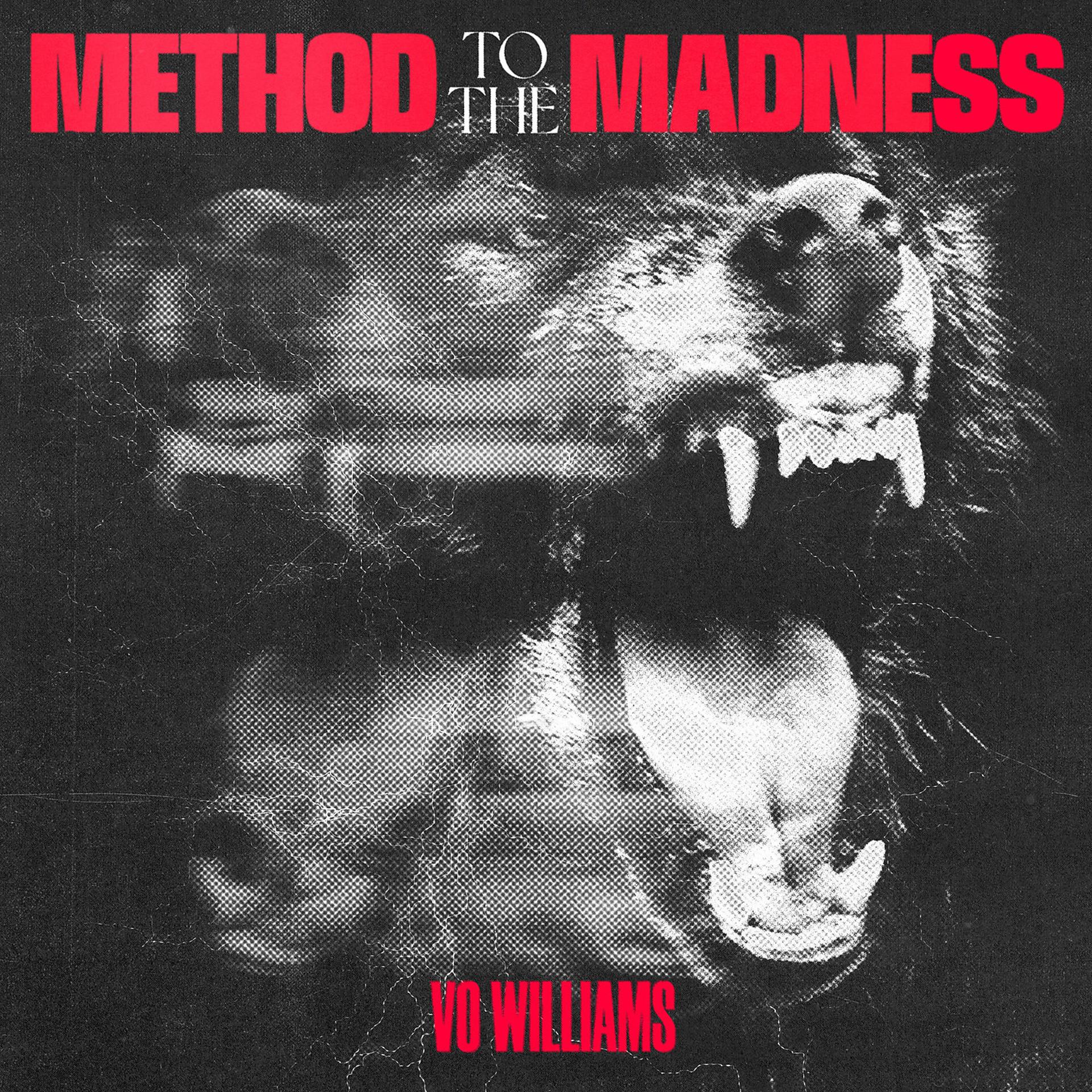 Постер альбома Method to the Madness