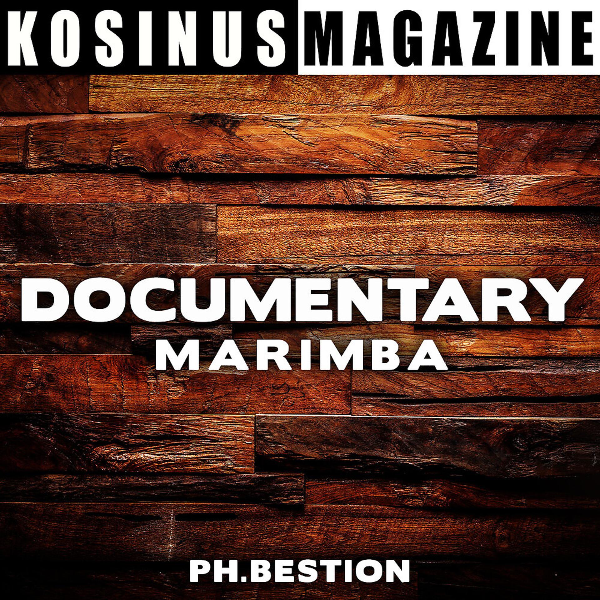 Постер альбома Documentary - Marimba