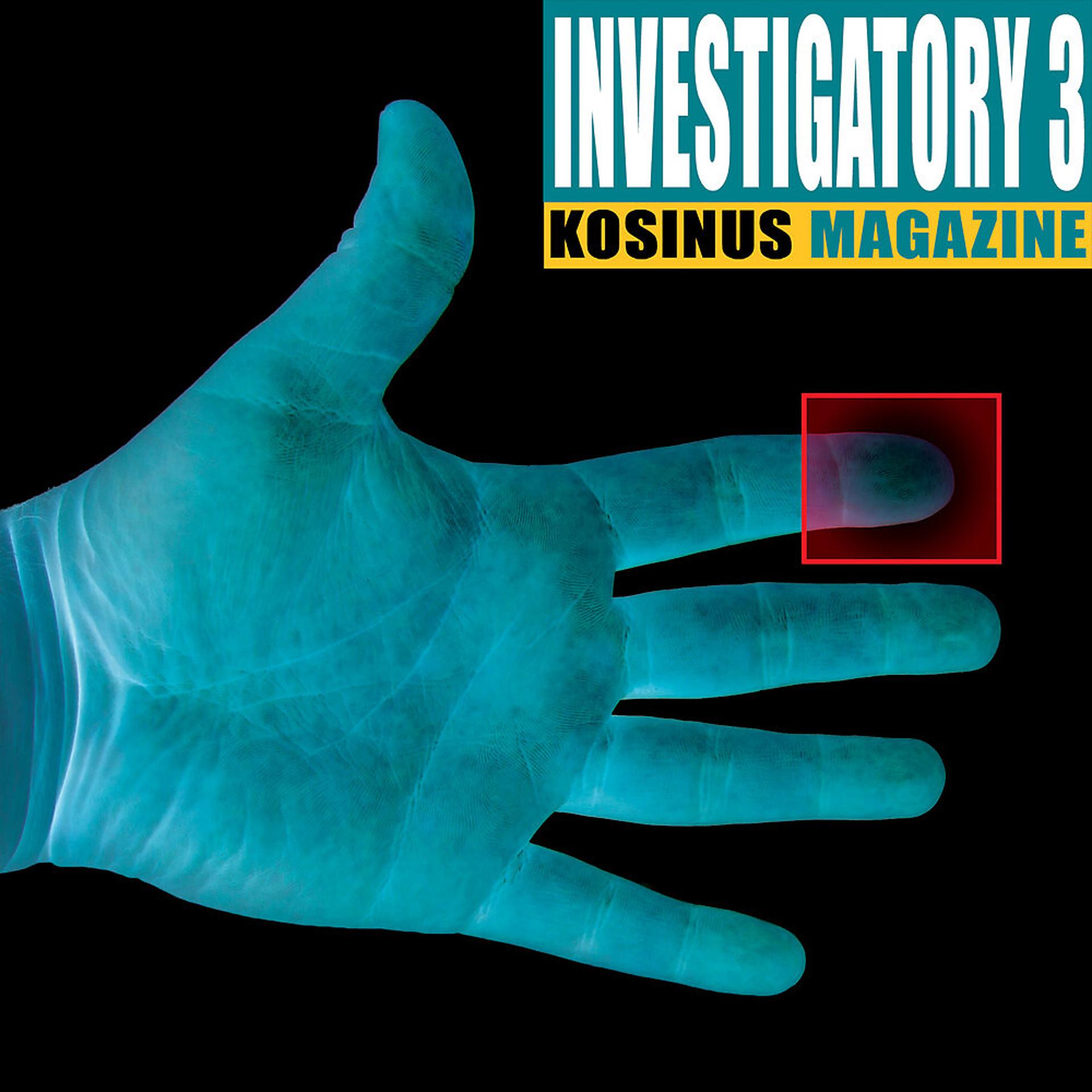 Постер альбома Investigatory 3