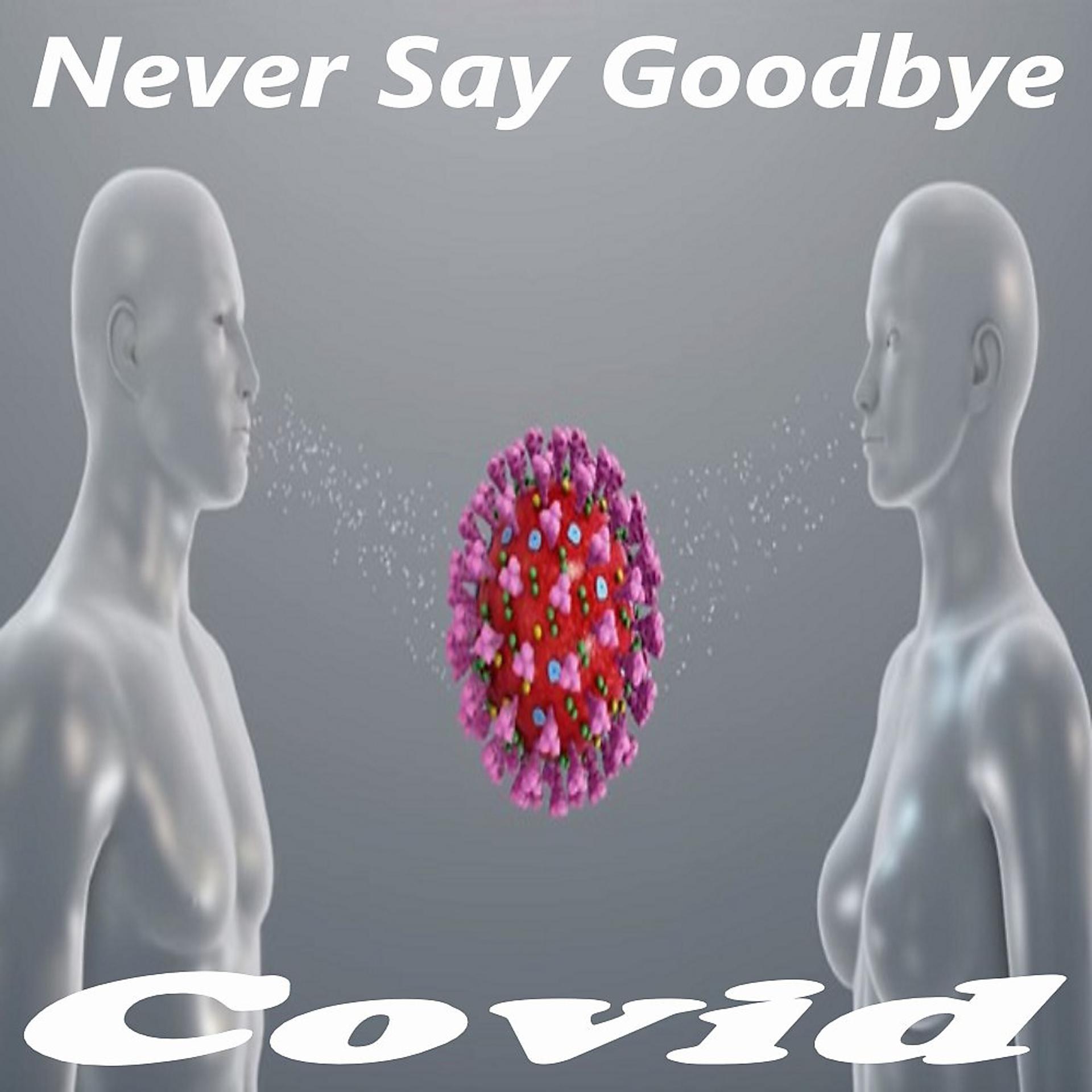 Постер альбома Never Say Goodbye