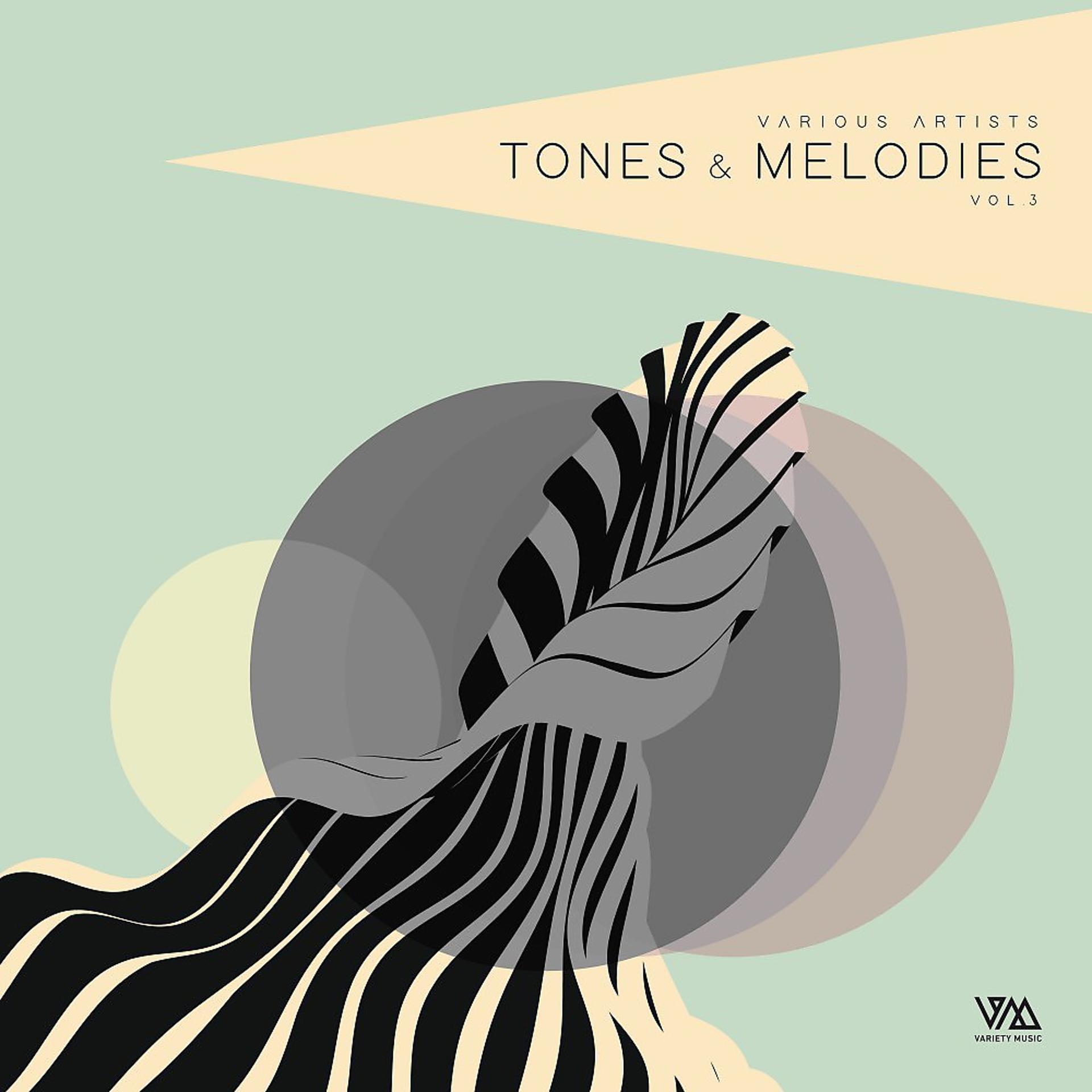 Постер альбома Tones & Melodies, Vol. 3