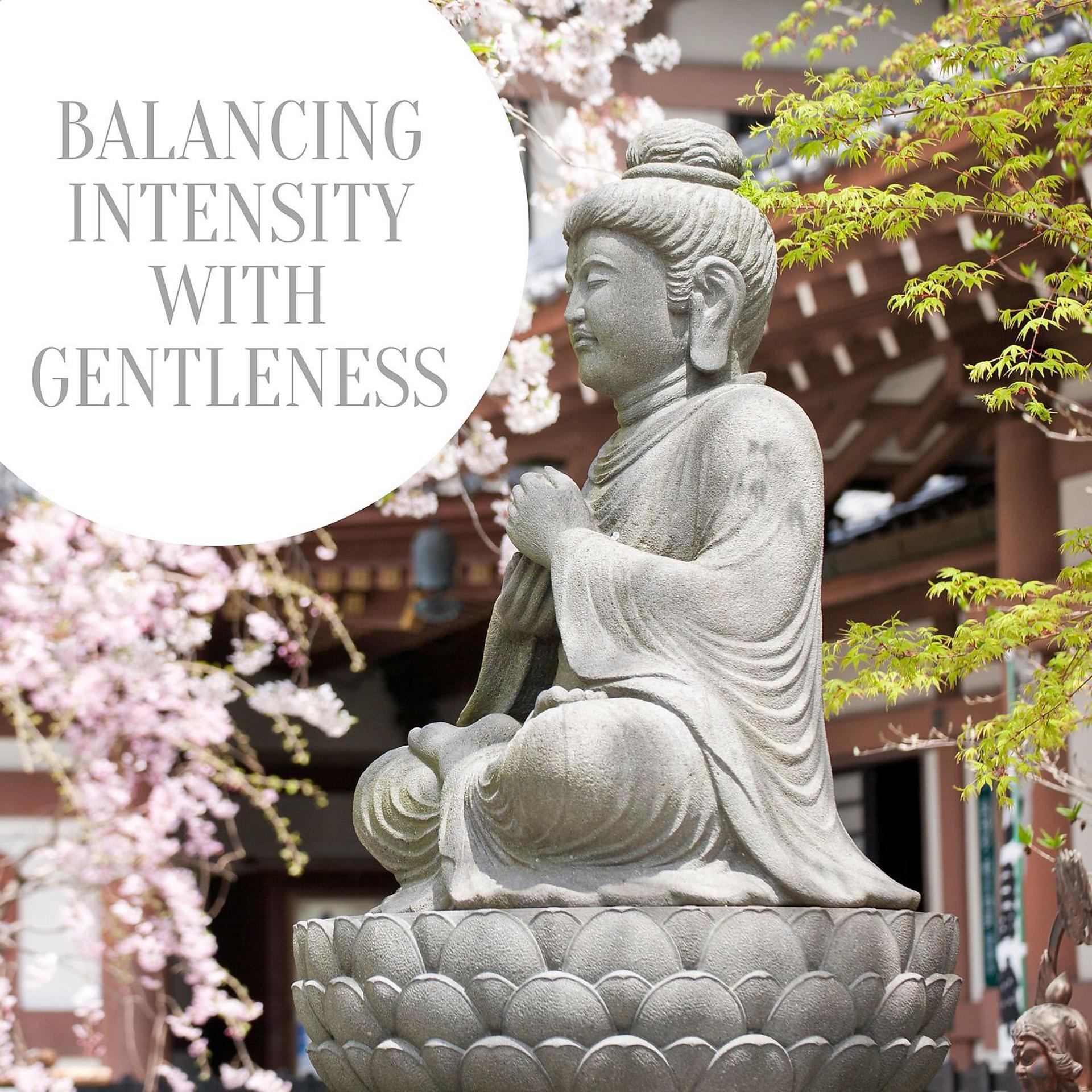 Постер альбома Balancing Intensity with Gentleness