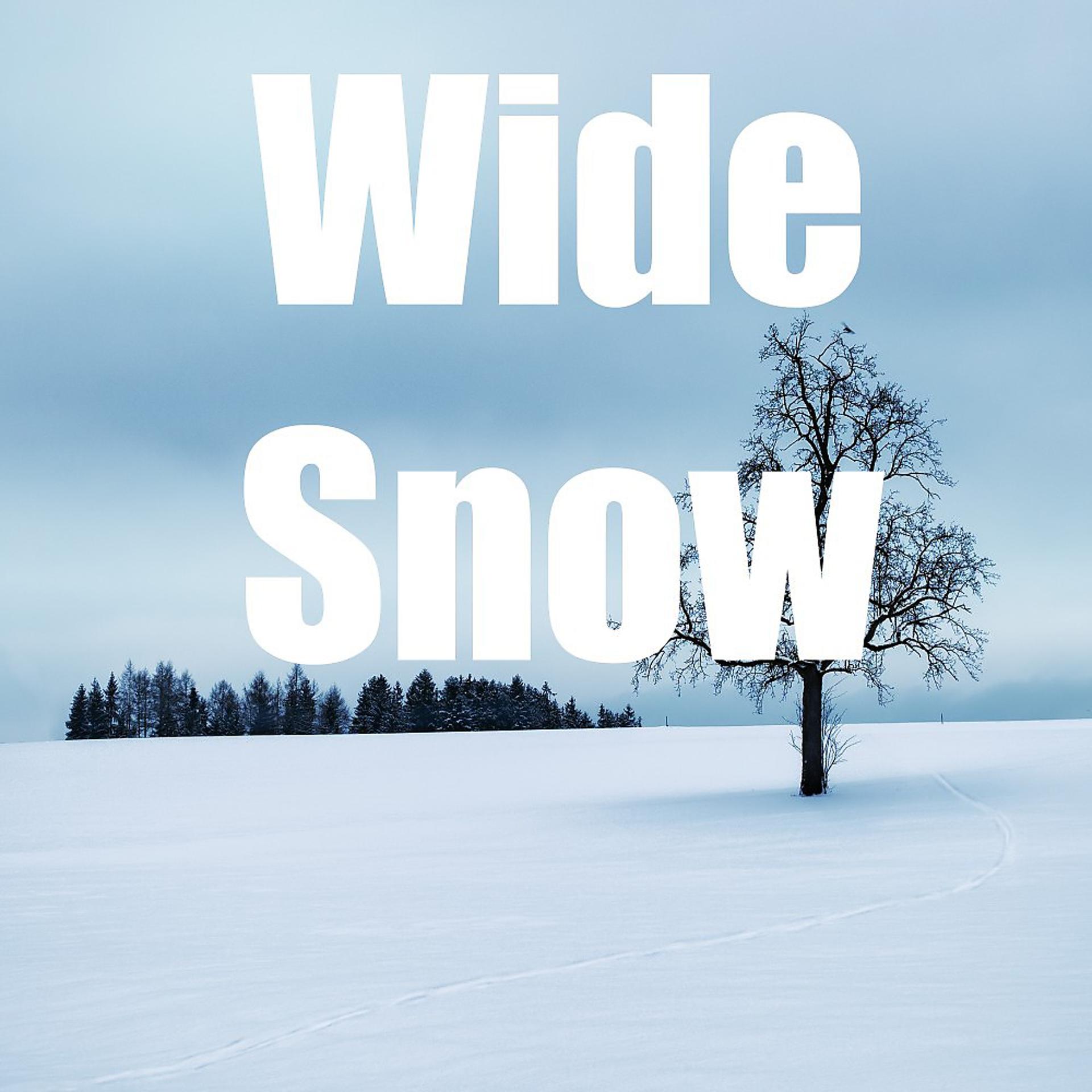 Постер альбома Wide Snow