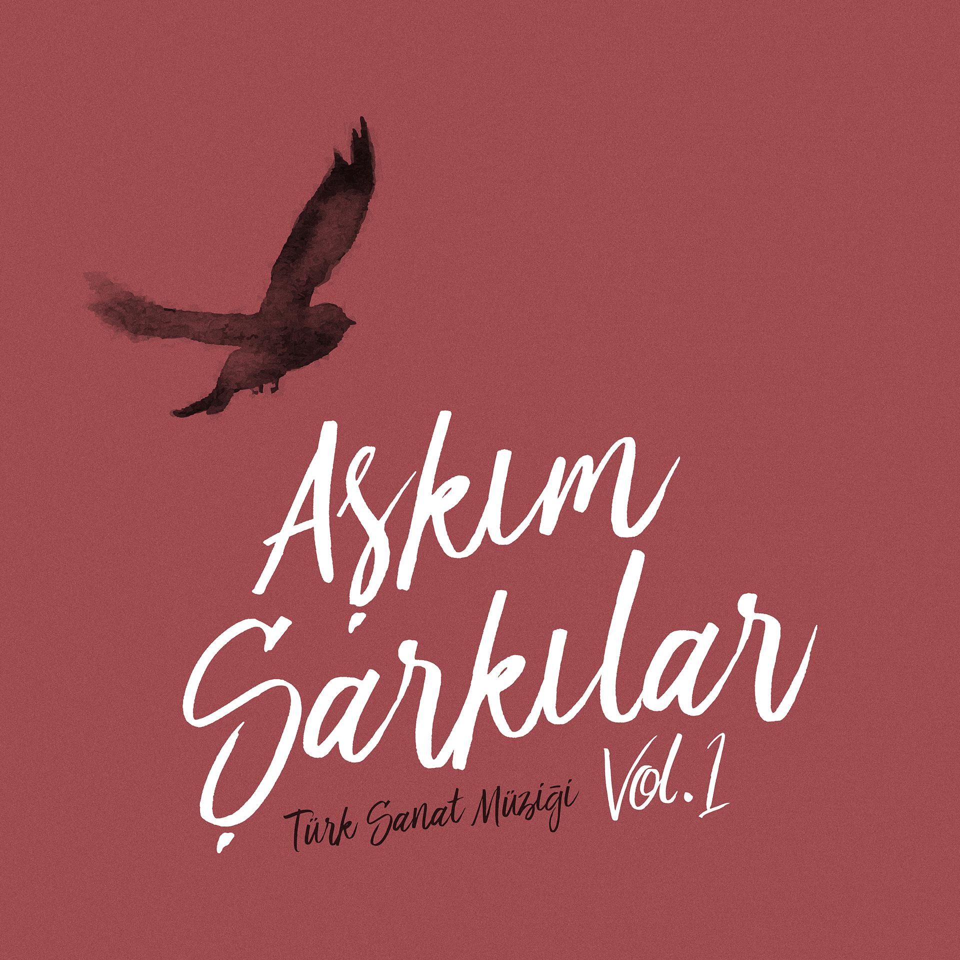 Постер альбома Aşkım Şarkılar, Vol.1