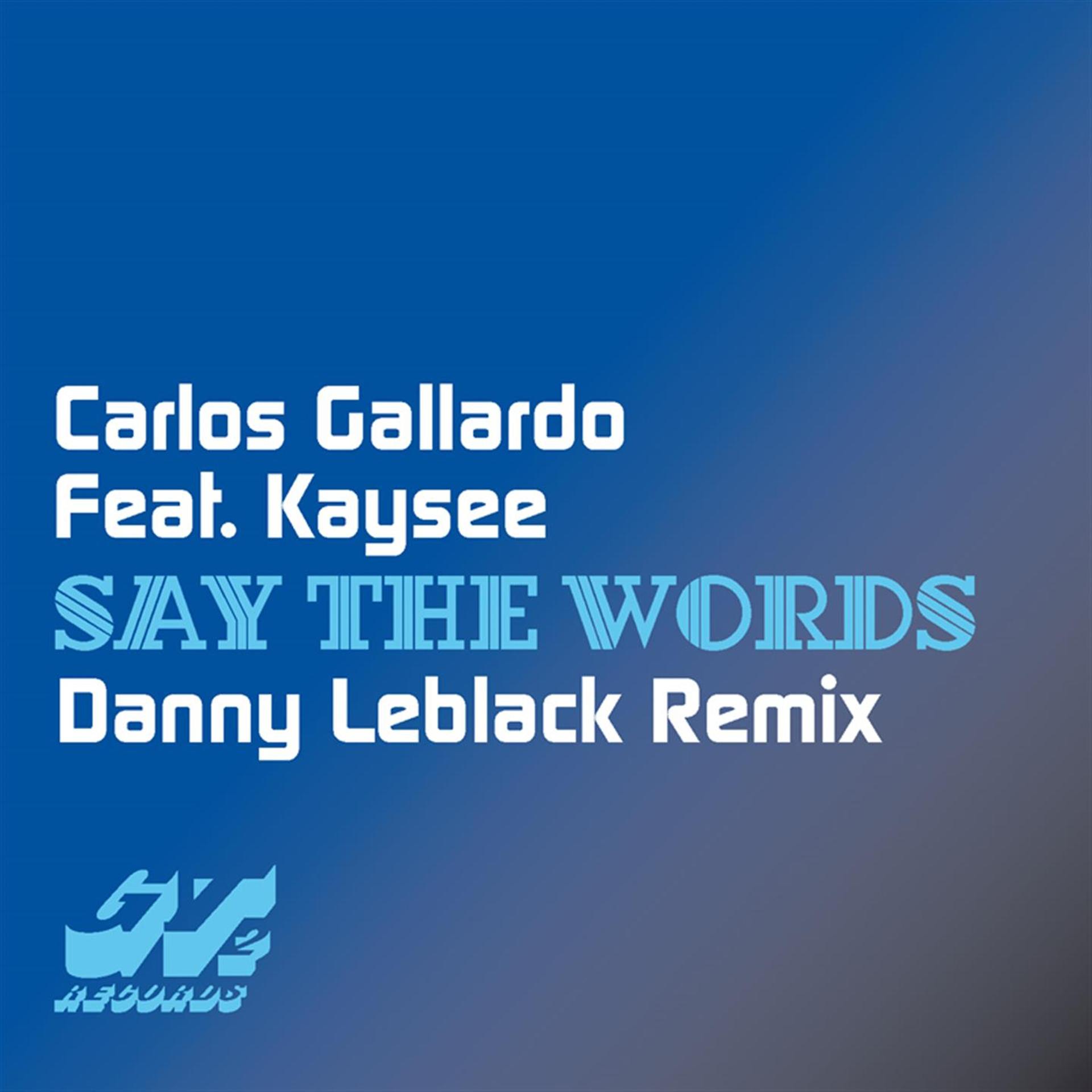 Постер альбома Say the Words (Danny Leblack Remix)