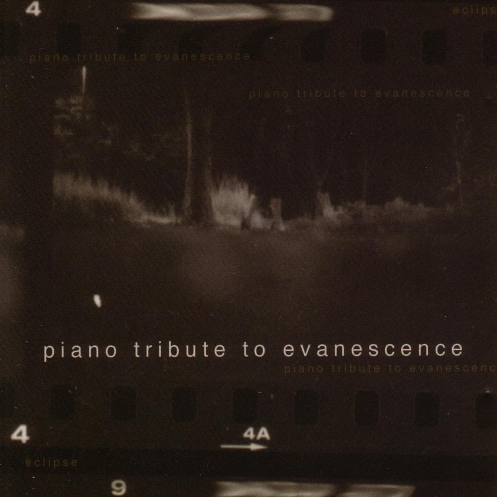 Постер альбома Eclipse - A Piano Tribute To Evanescence