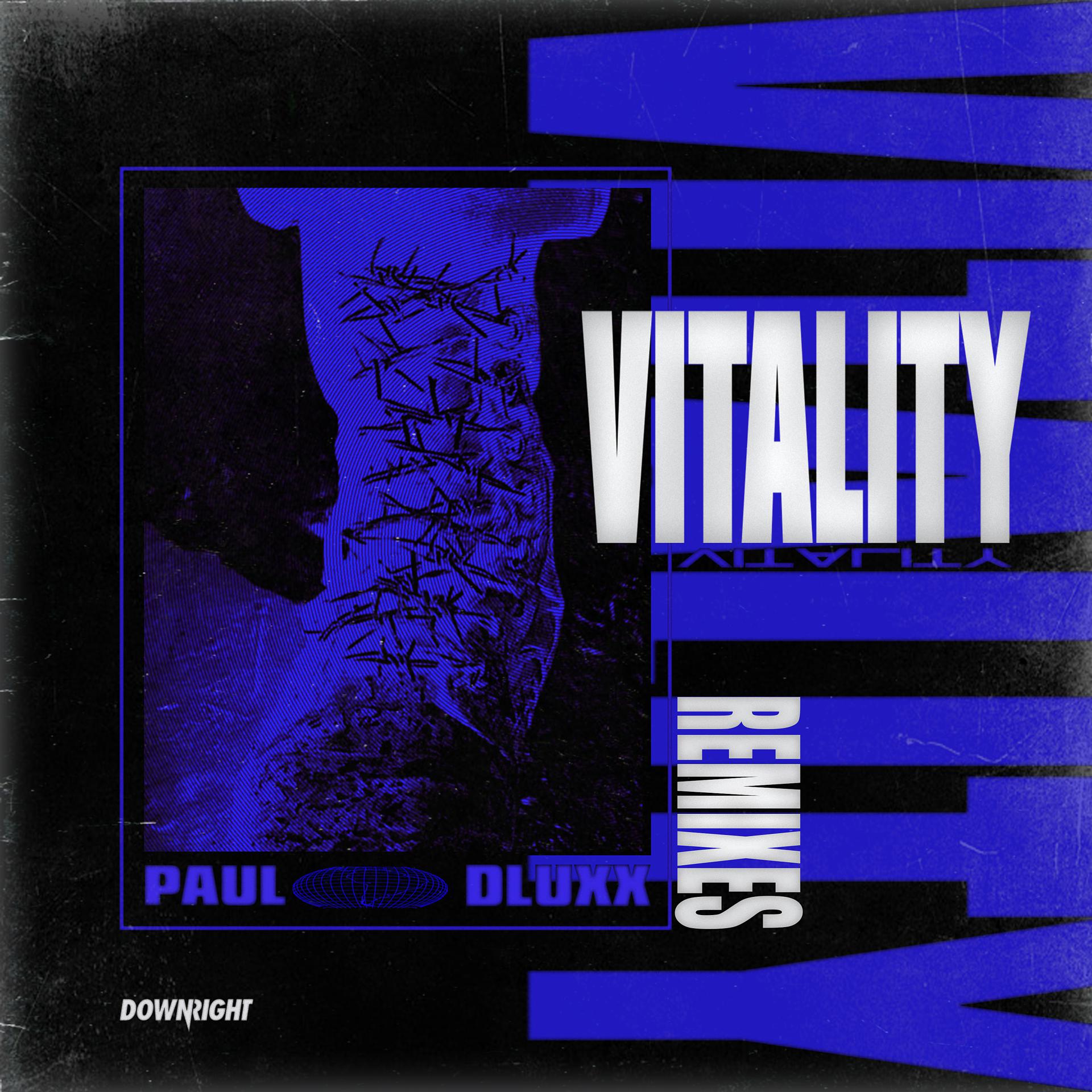 Постер альбома Vitality (Remixes)