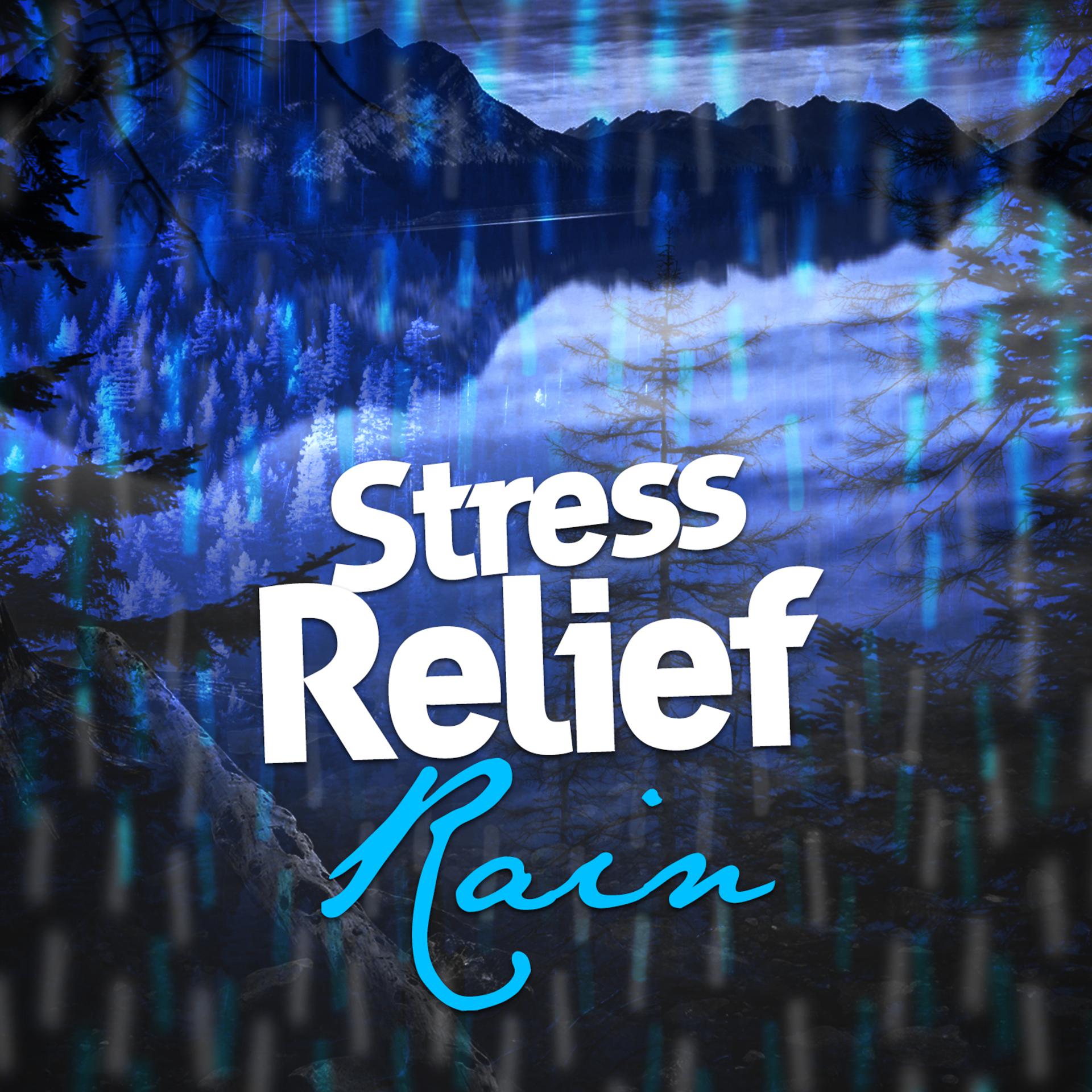 Постер альбома Stress Relief Rain