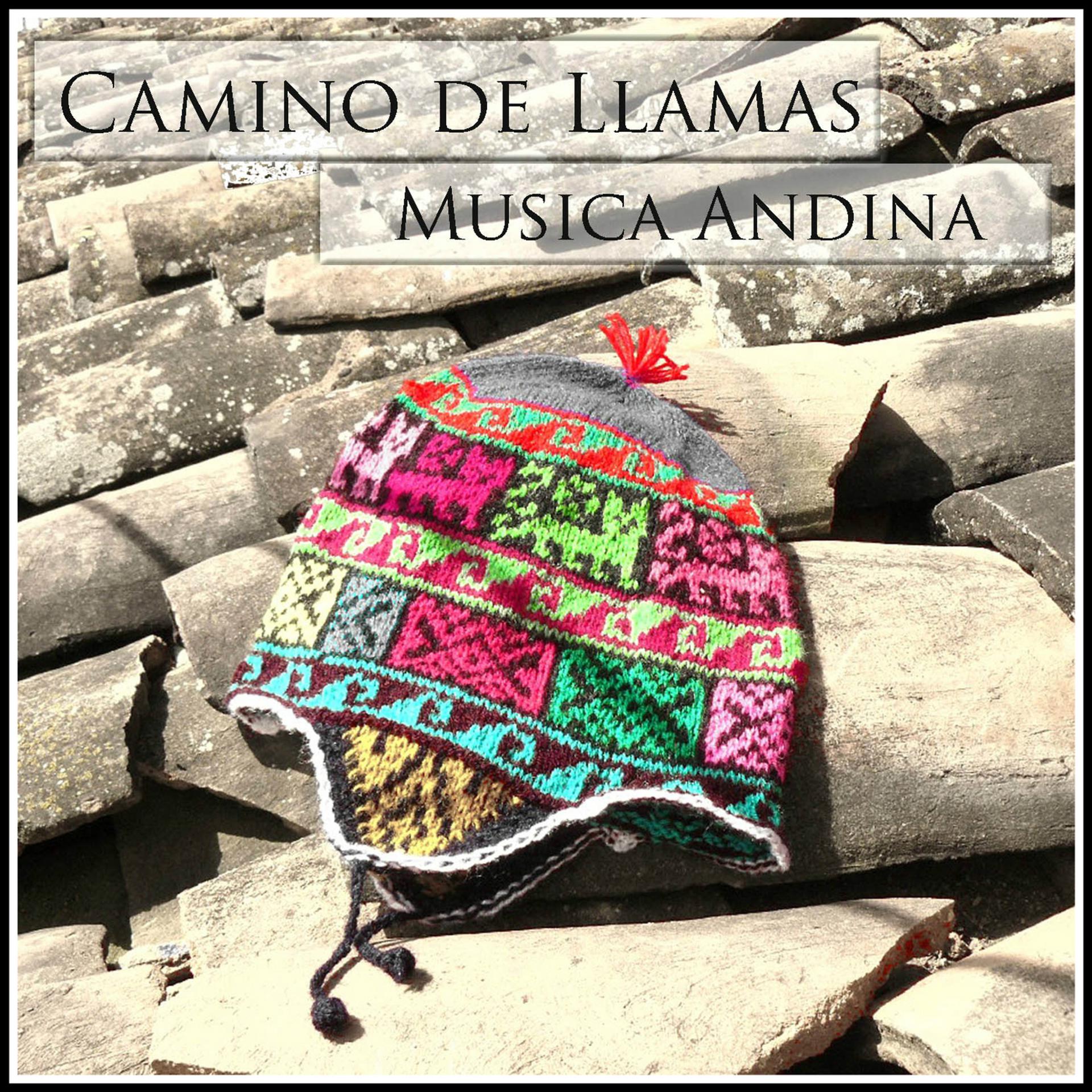 Постер альбома Camino de Llamas - Musica Andina