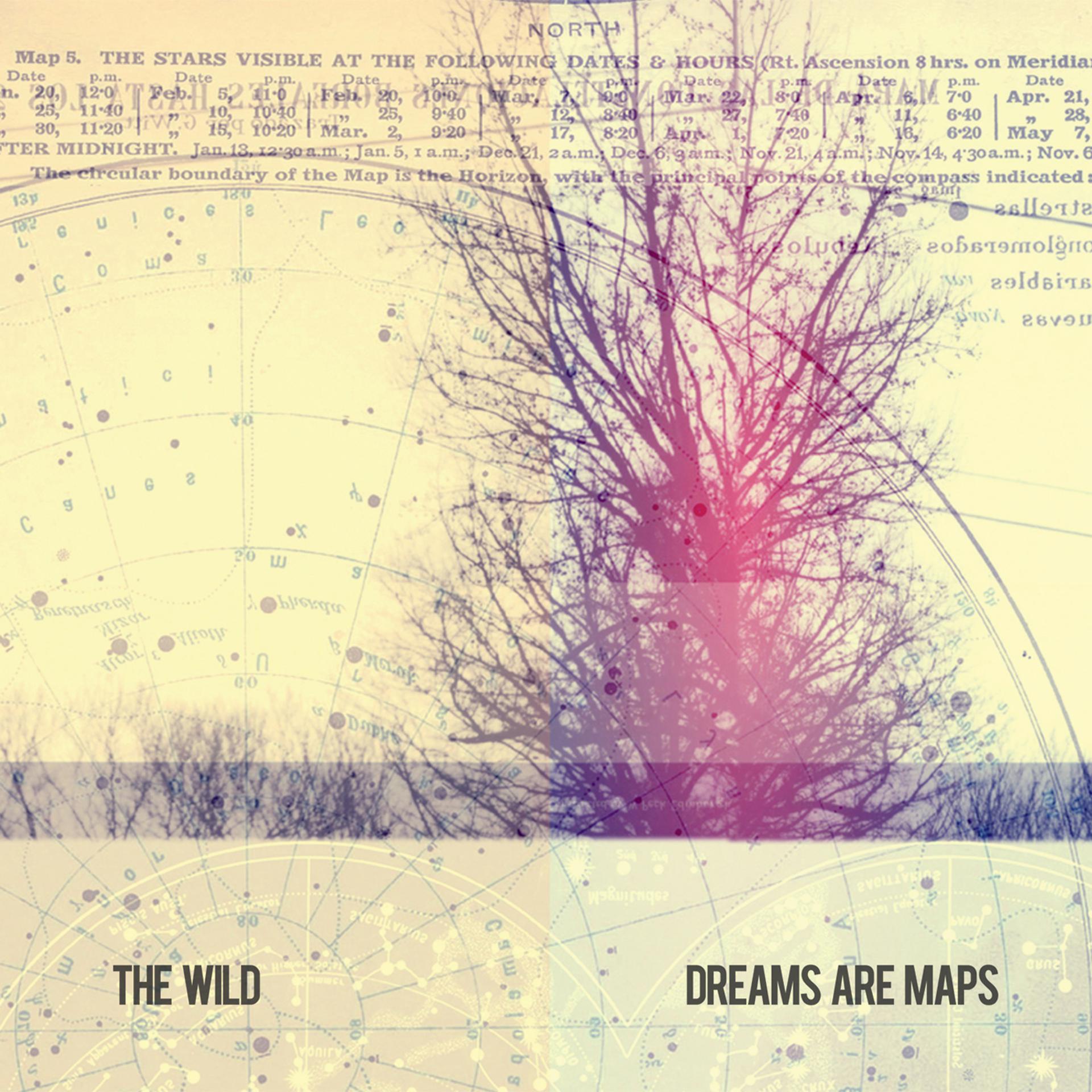 Постер альбома Dreams Are Maps