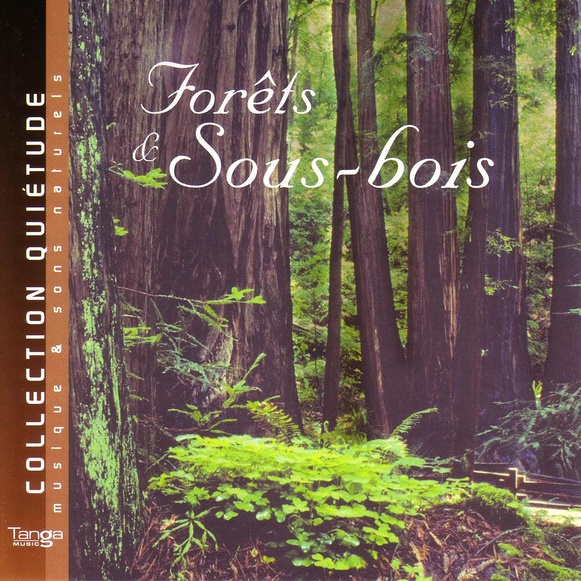 Постер альбома Forêts & Sous-Bois