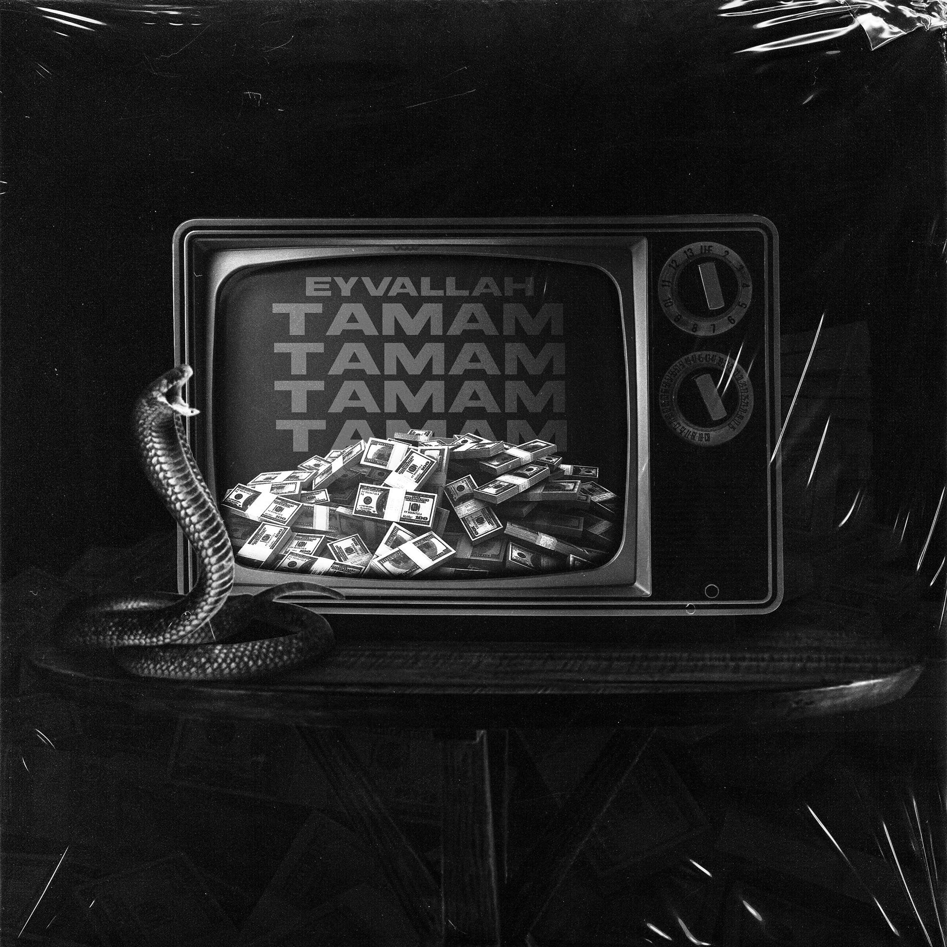 Постер альбома Tamam Eyvallah