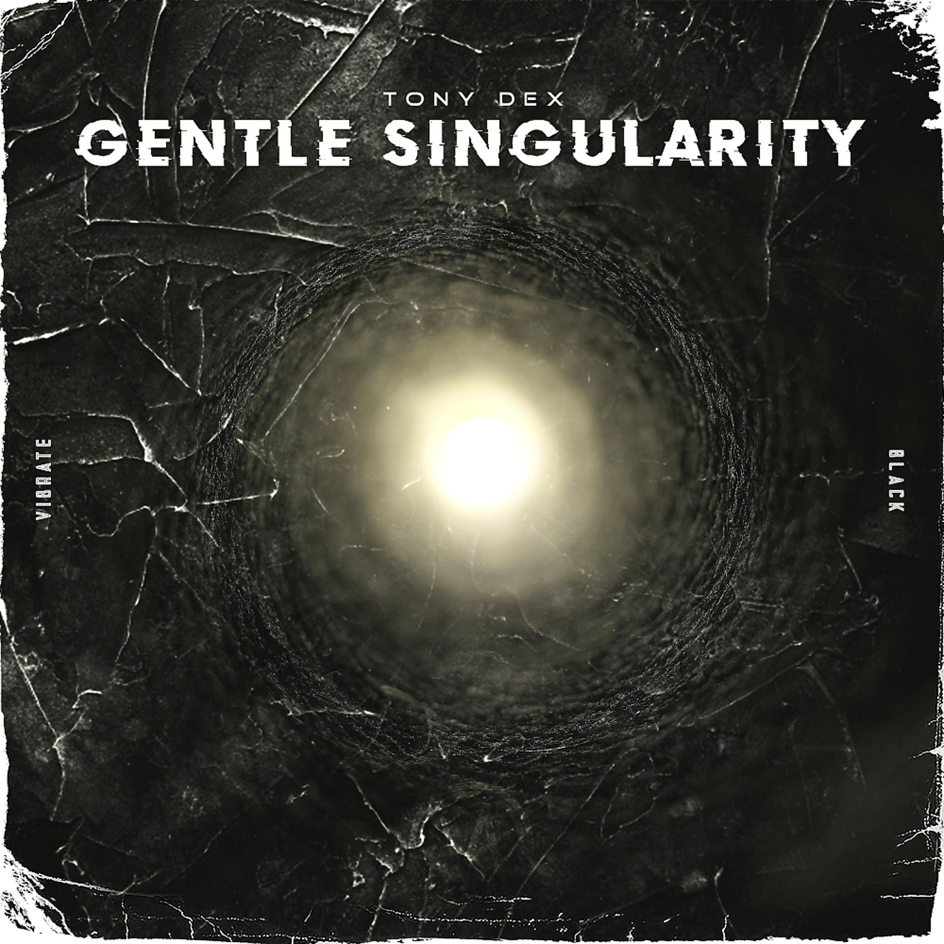 Постер альбома Gentle Singularity
