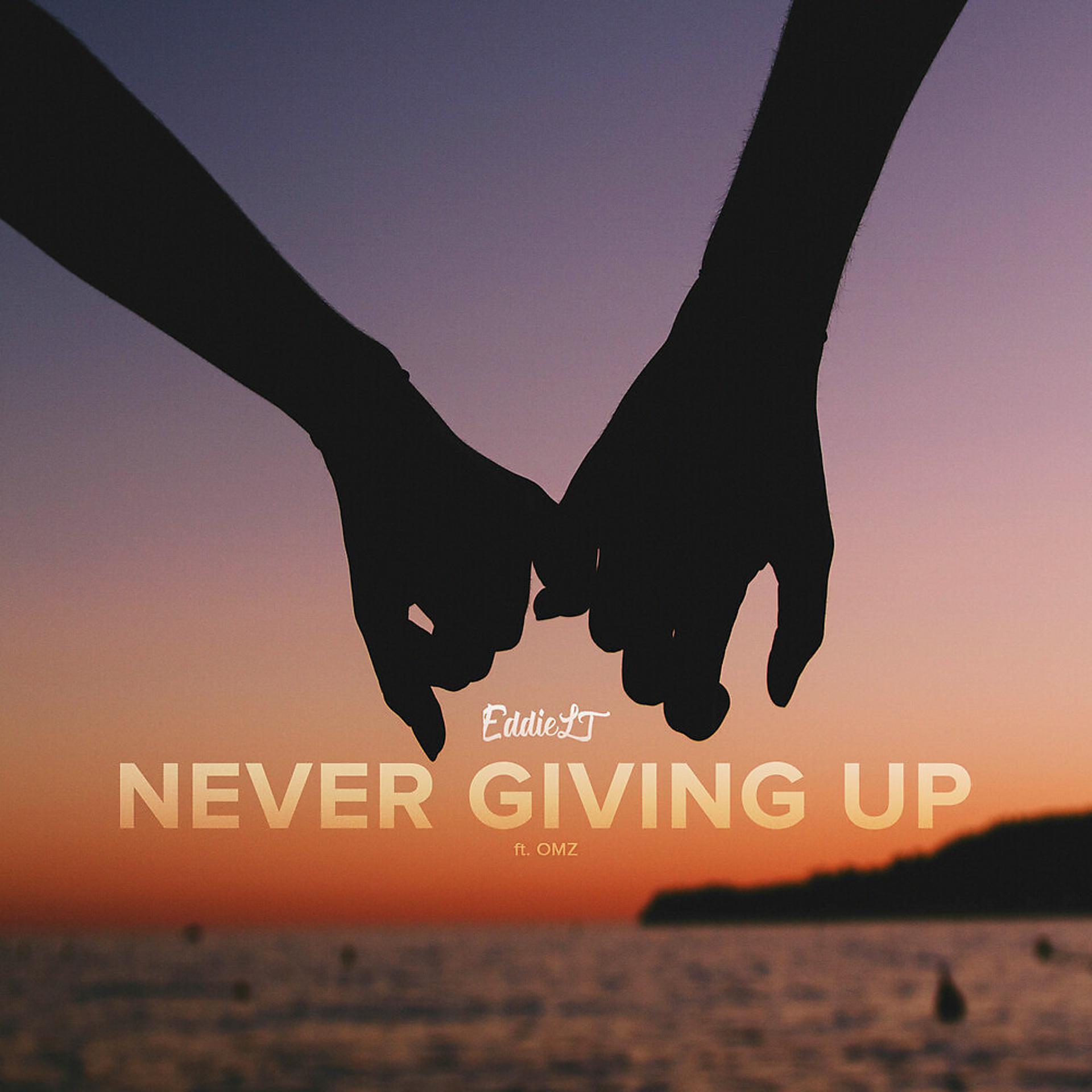 Постер альбома Never Giving Up