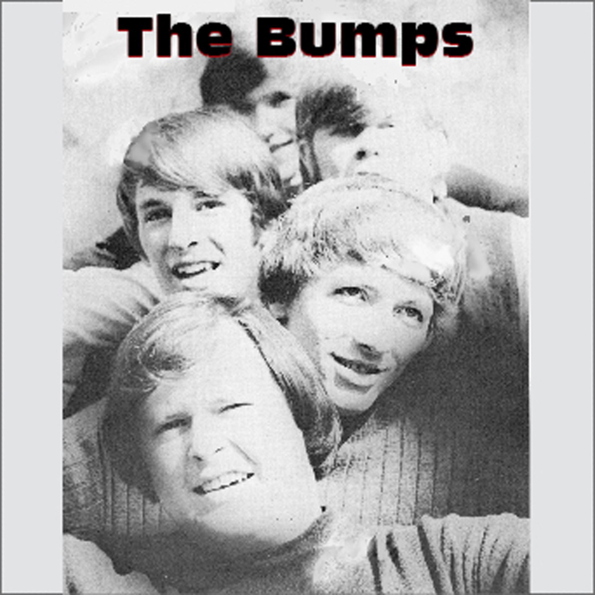 Постер альбома The Bumps